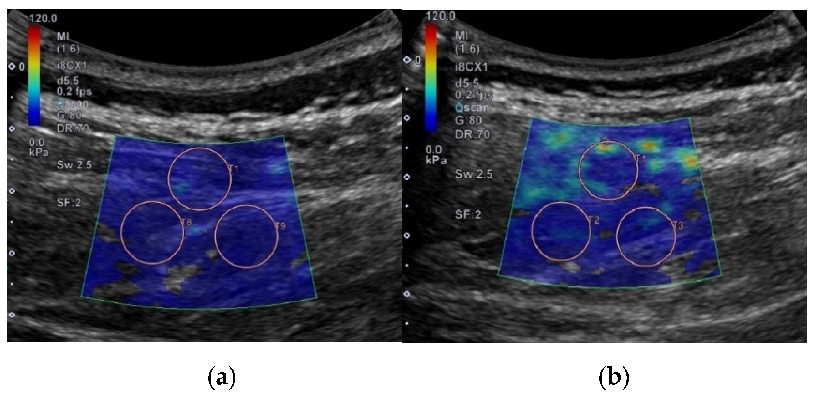 Applsci 11 01782 g003 Applsci 11 01782 g003