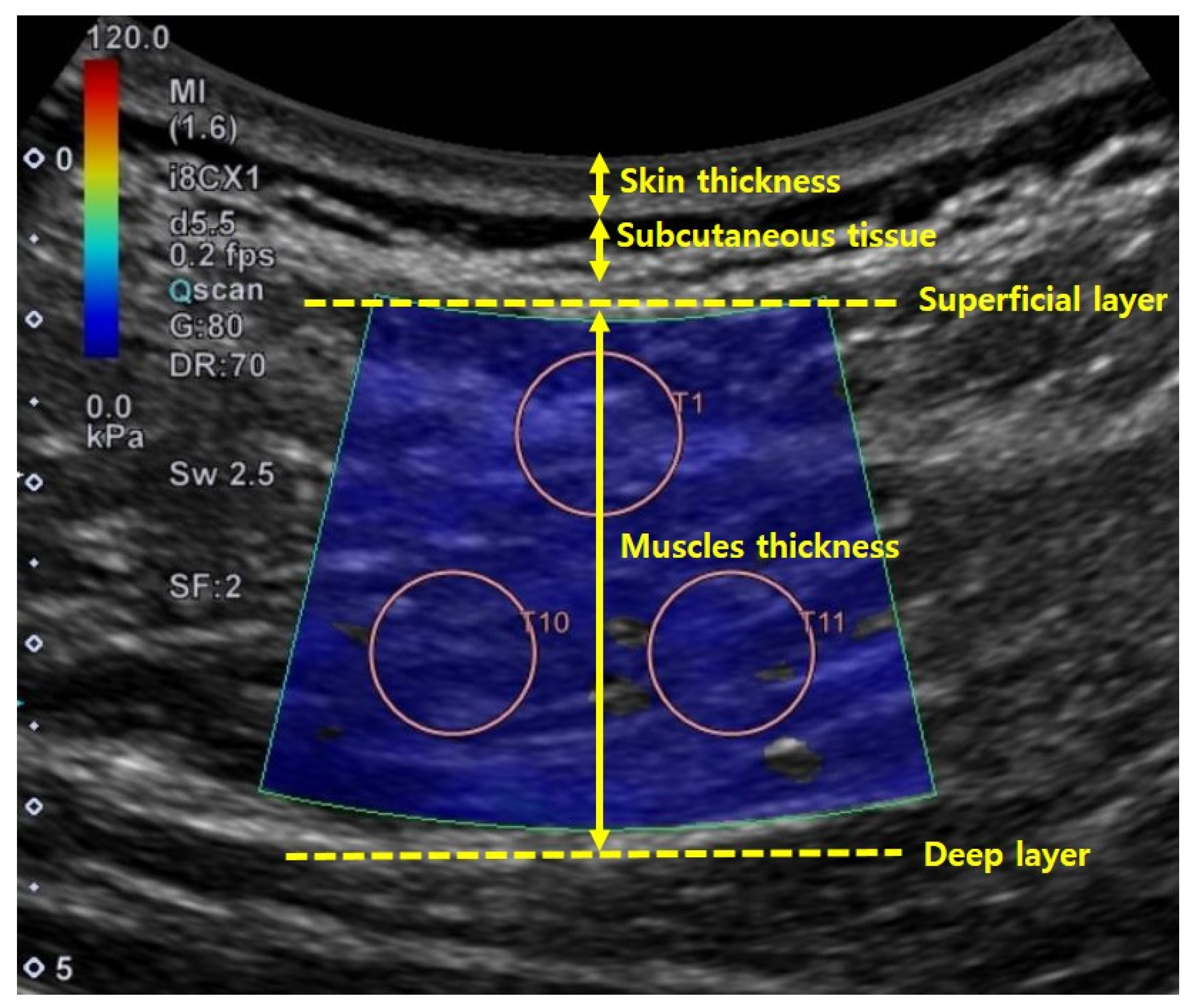 Applsci 11 01782 g004 Applsci 11 01782 g004