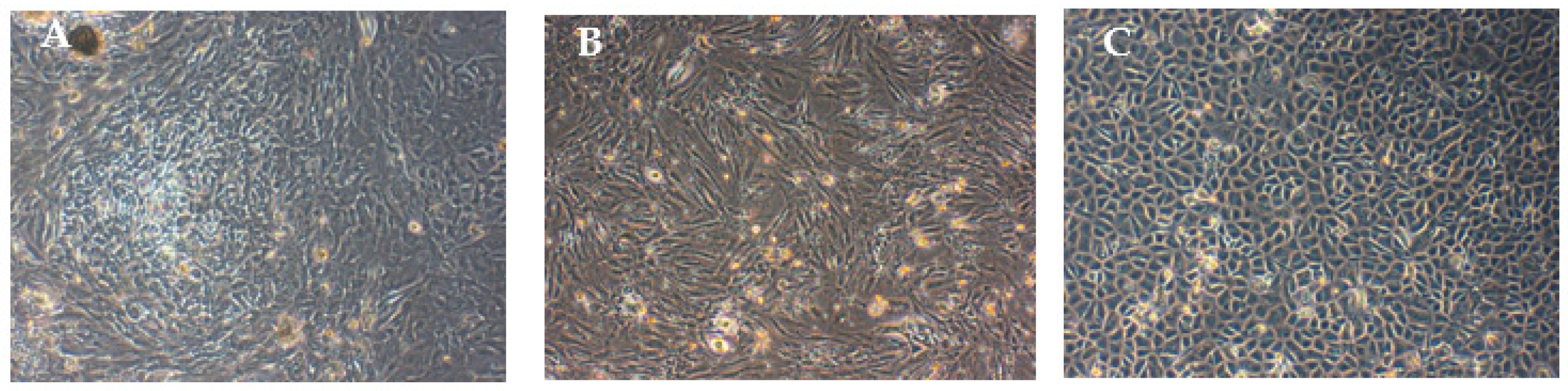 Applsci 11 01787 g001 Applsci 11 01787 g001