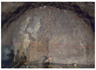 Applsci 11 01814 i001