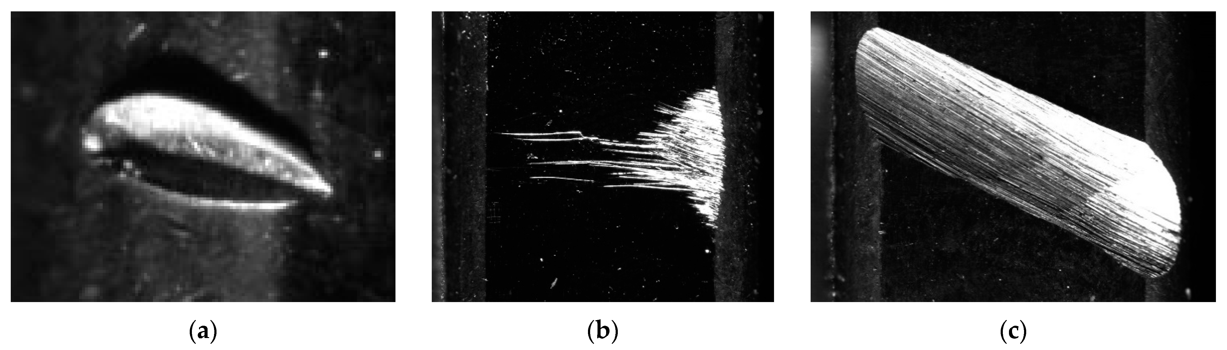 Applsci 11 01825 g007 Applsci 11 01825 g007