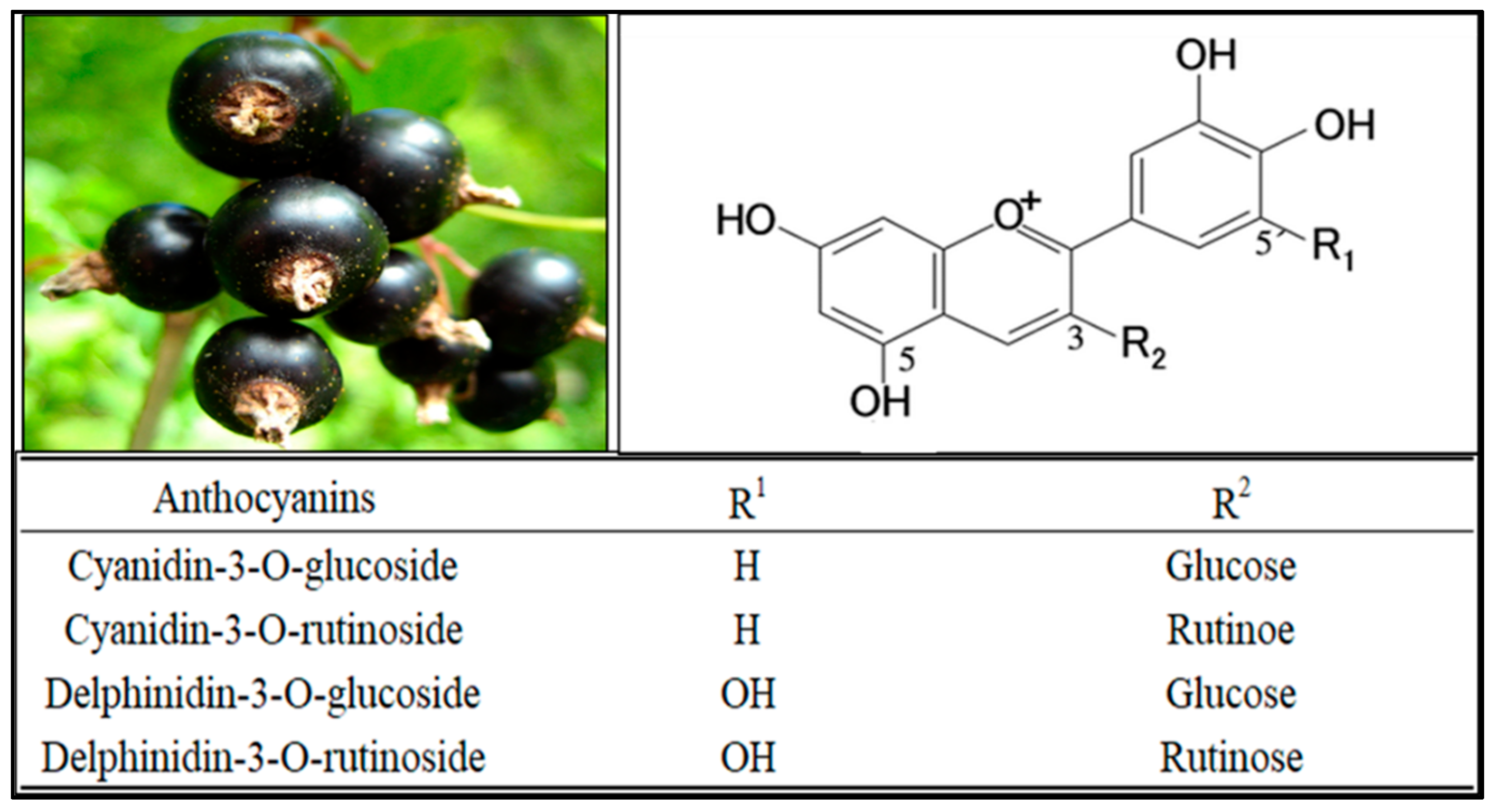Applsci 11 01863 g002