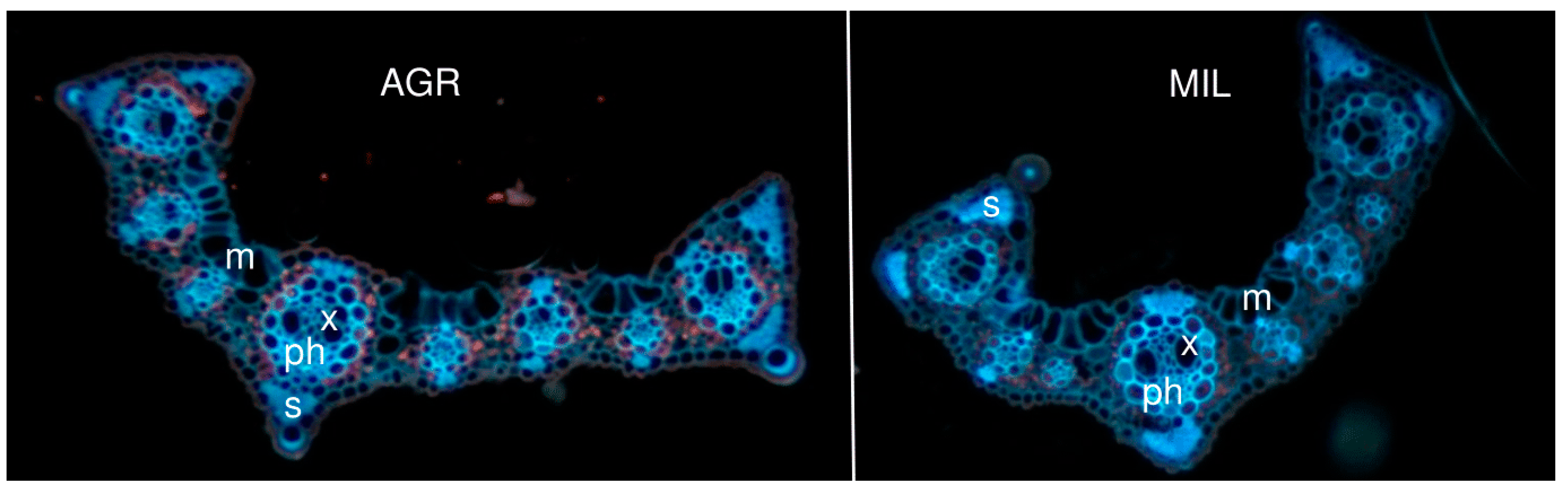 Applsci 11 01866 g004 Applsci 11 01866 g004