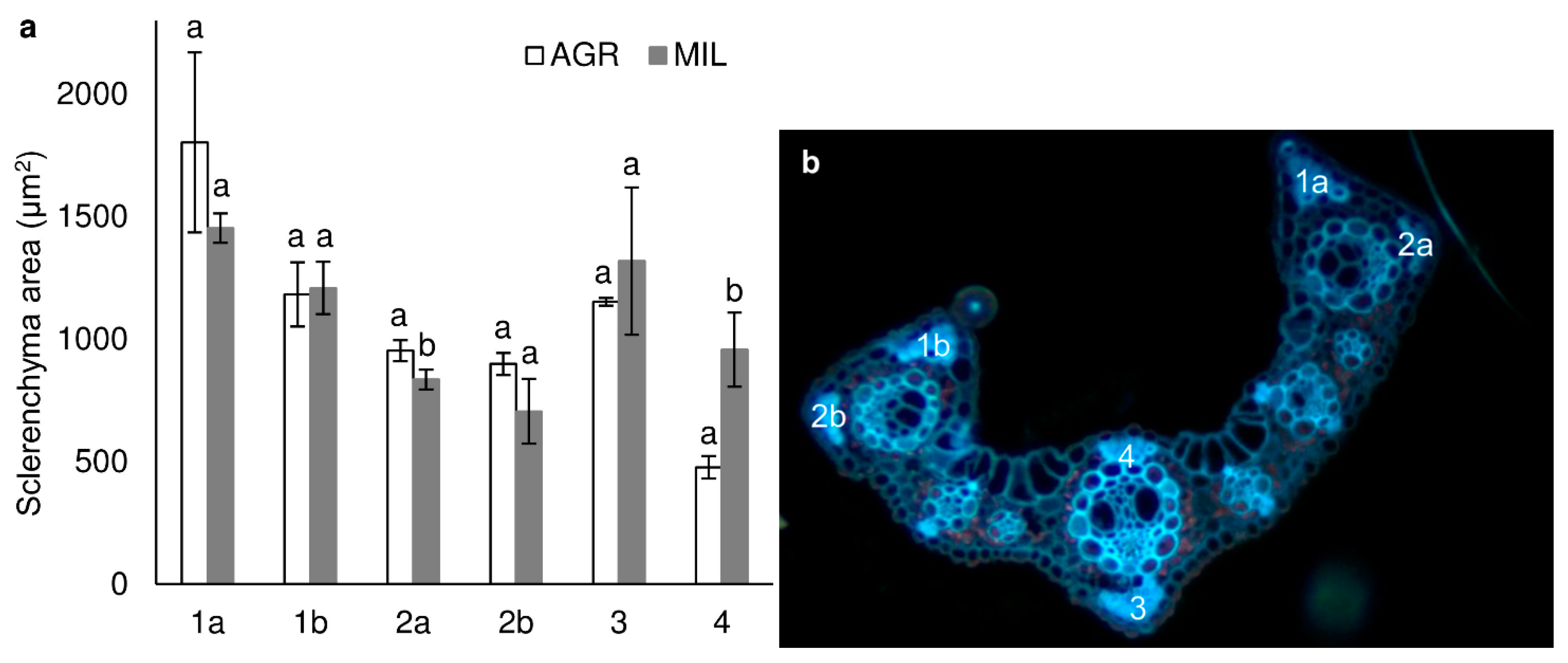 Applsci 11 01866 g005 Applsci 11 01866 g005