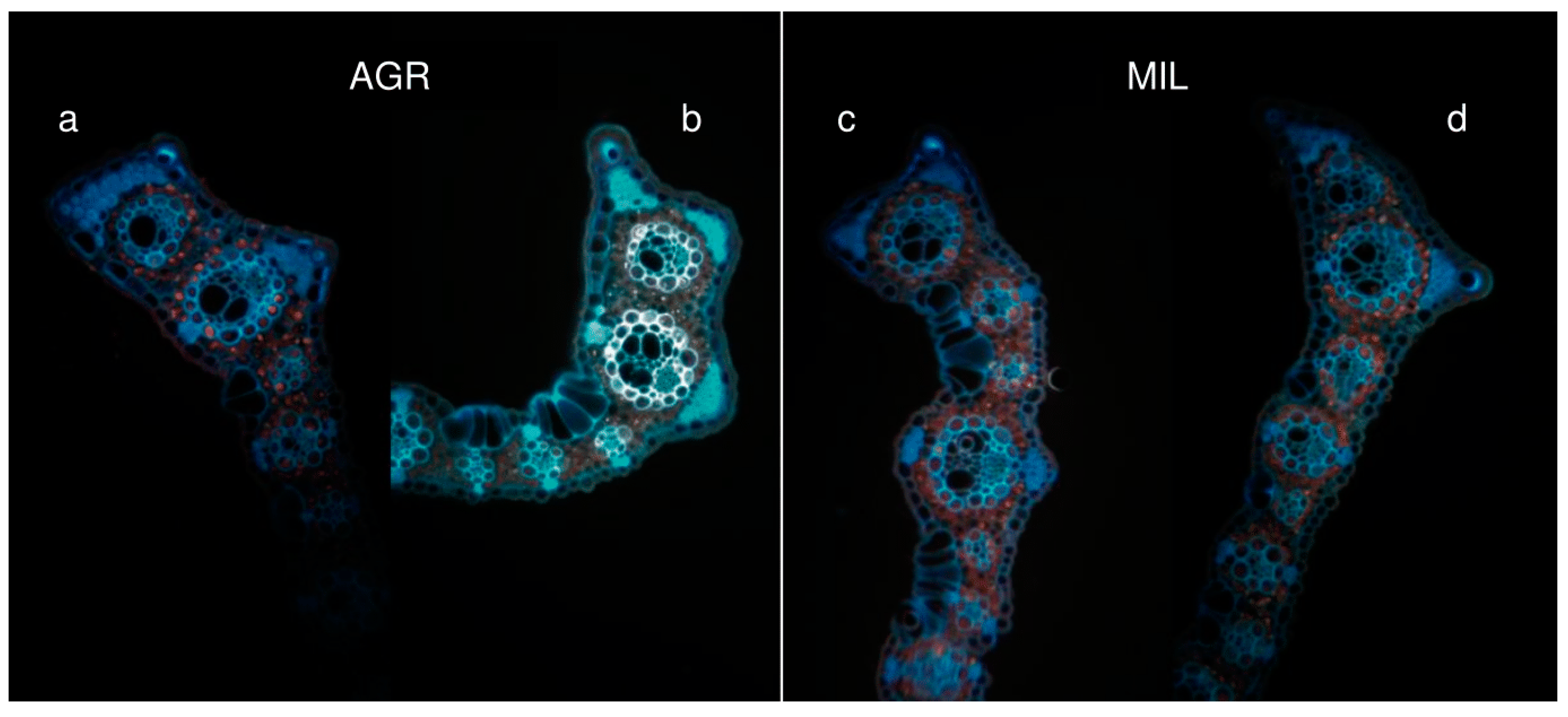 Applsci 11 01866 g007 Applsci 11 01866 g007