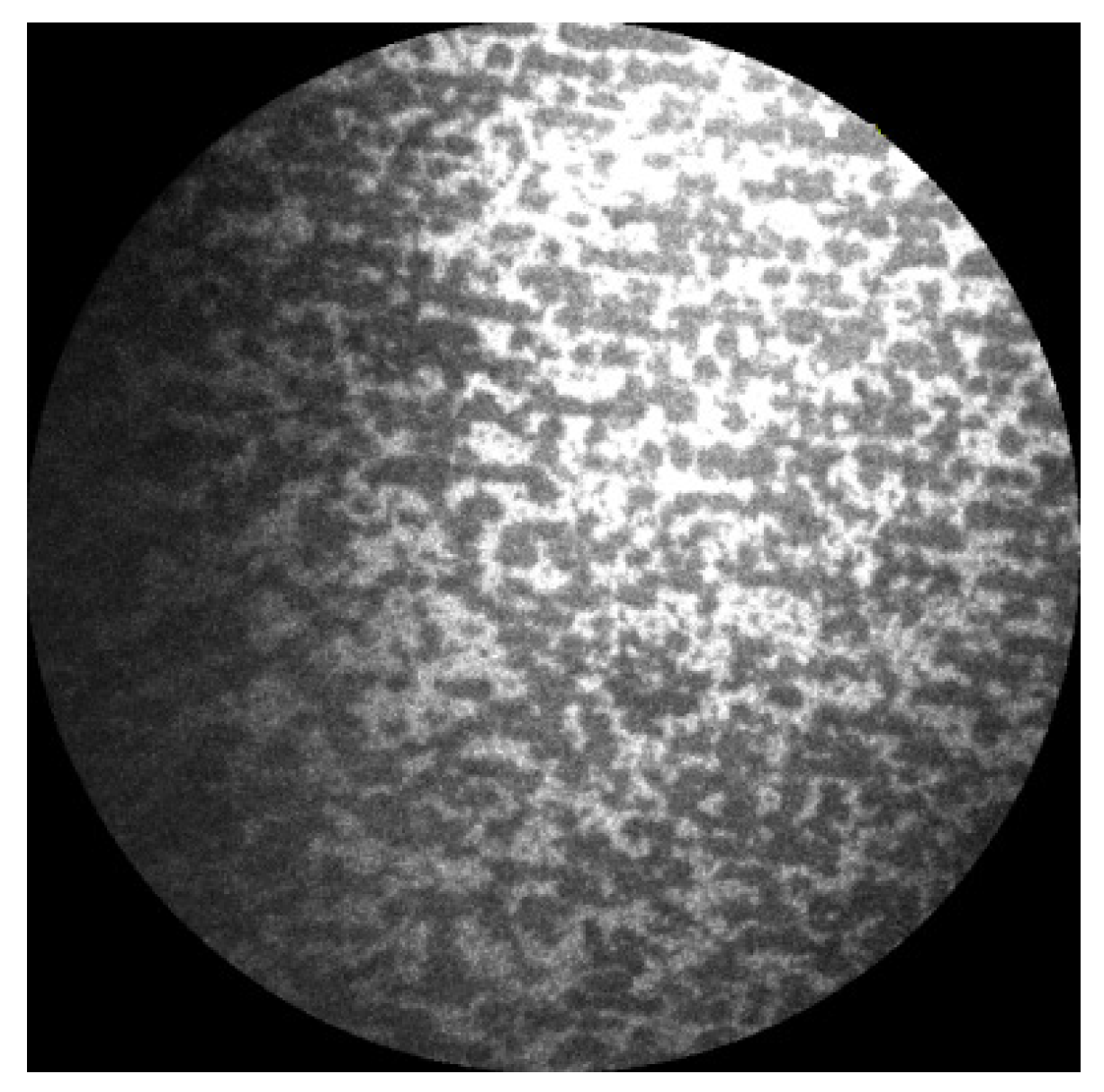 Applsci 11 01891 g004