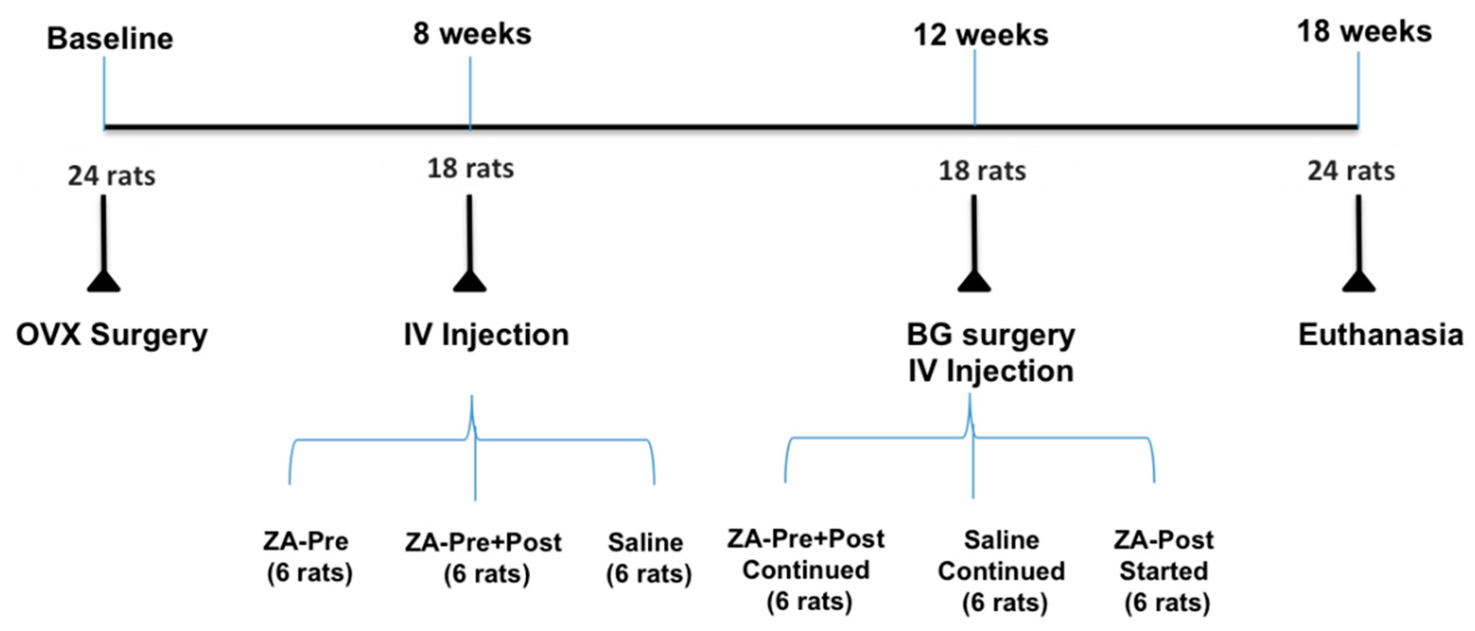 Applsci 11 01906 g001