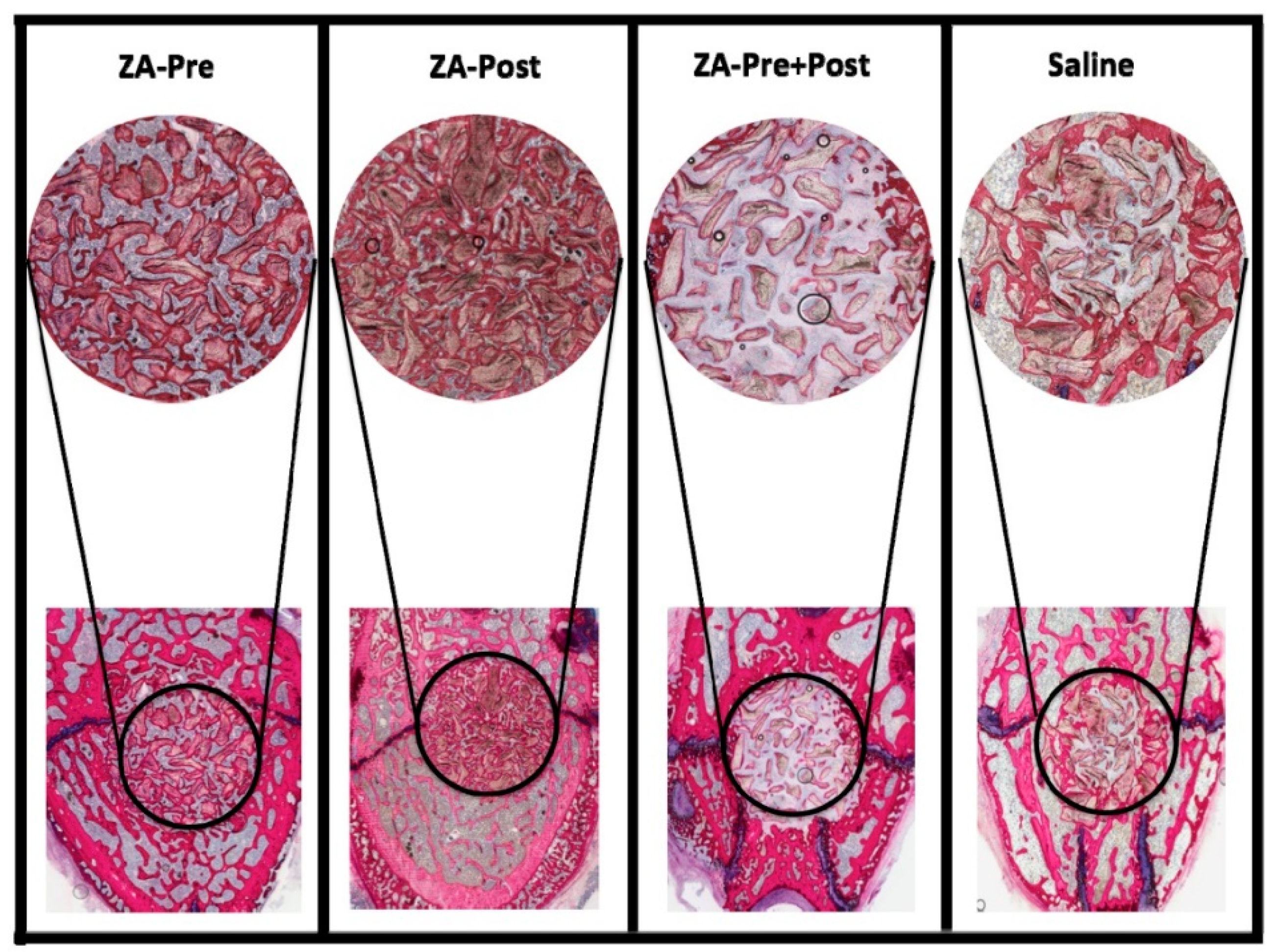 Applsci 11 01906 g002