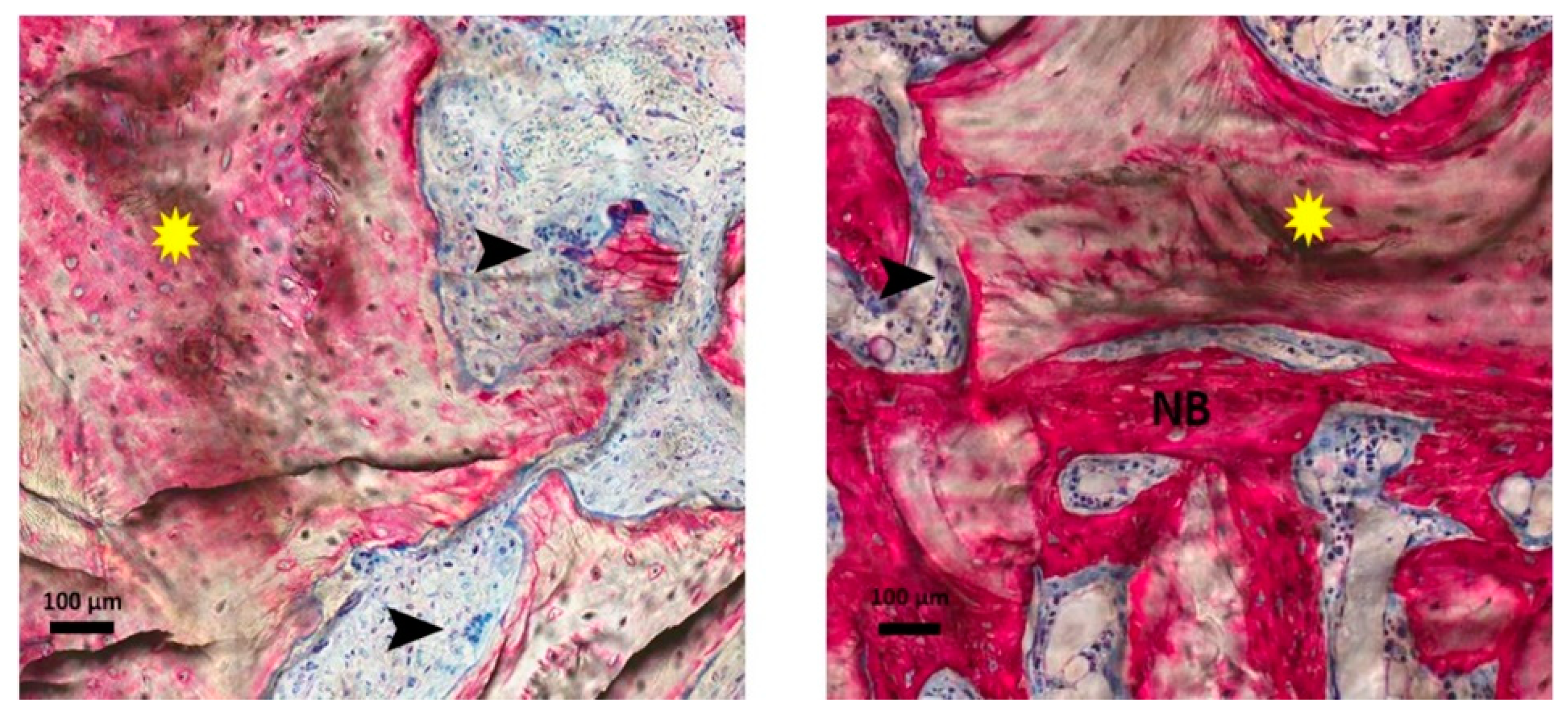 Applsci 11 01906 g003