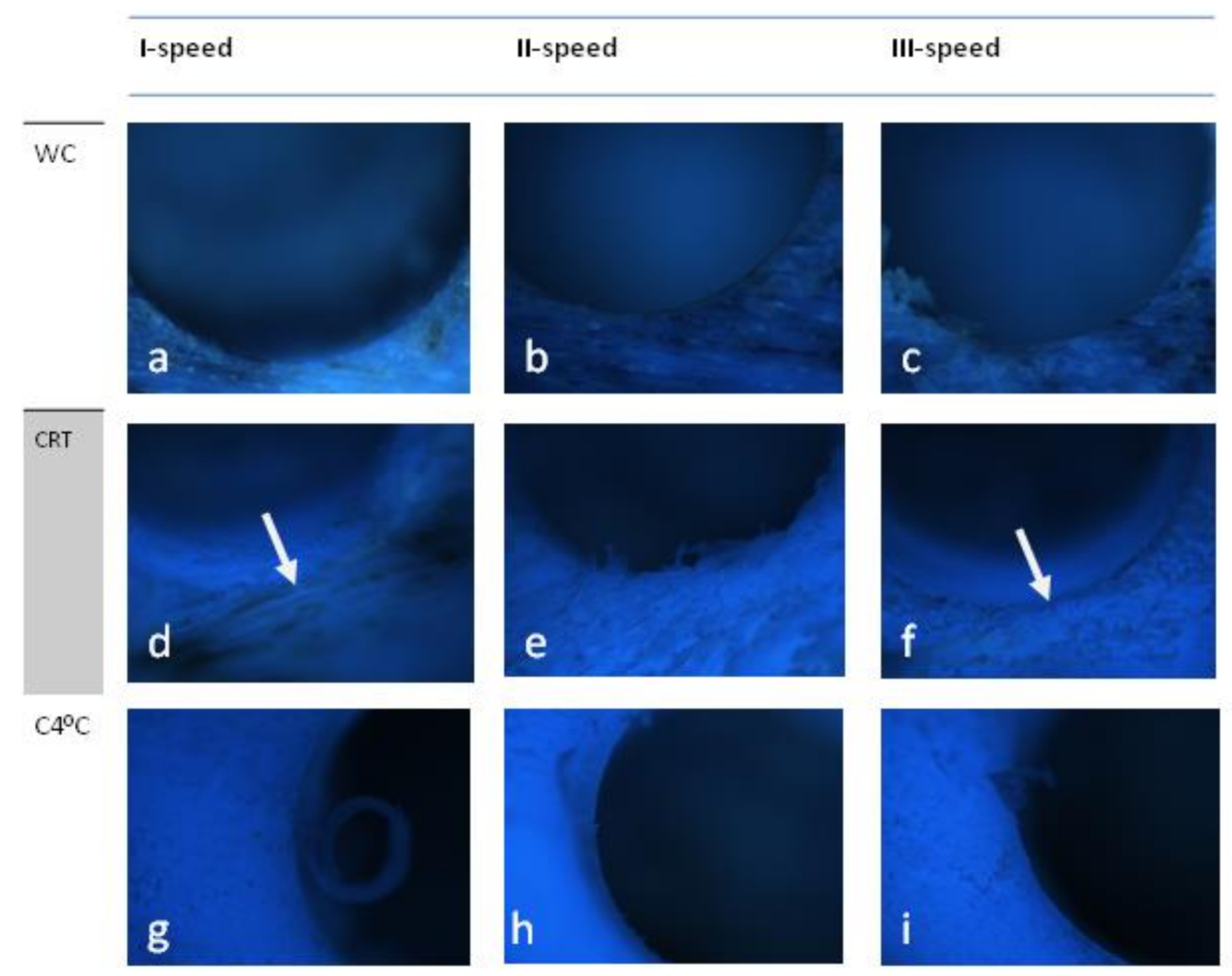 Applsci 11 01916 g002 Applsci 11 01916 g002