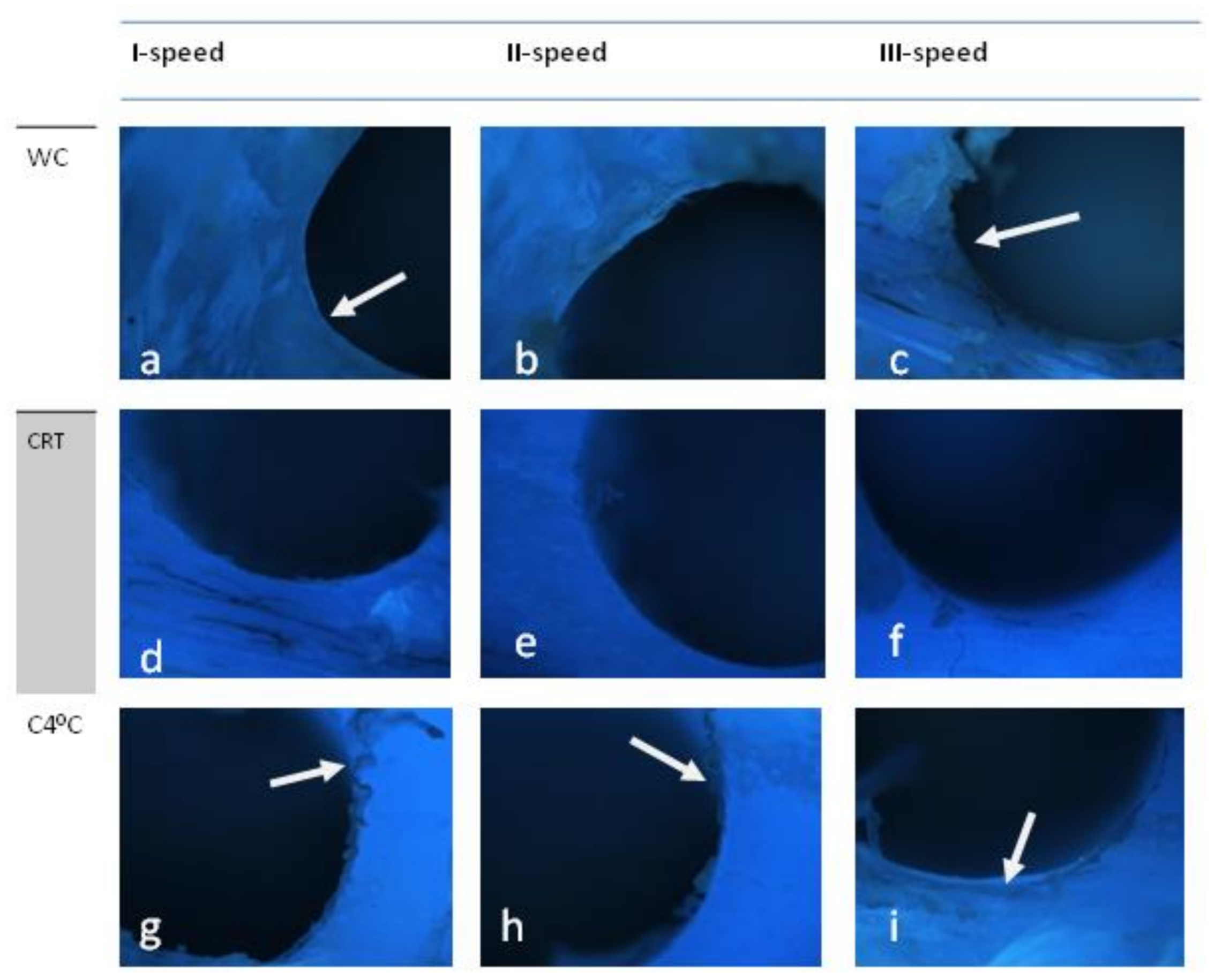 Applsci 11 01916 g003 Applsci 11 01916 g003