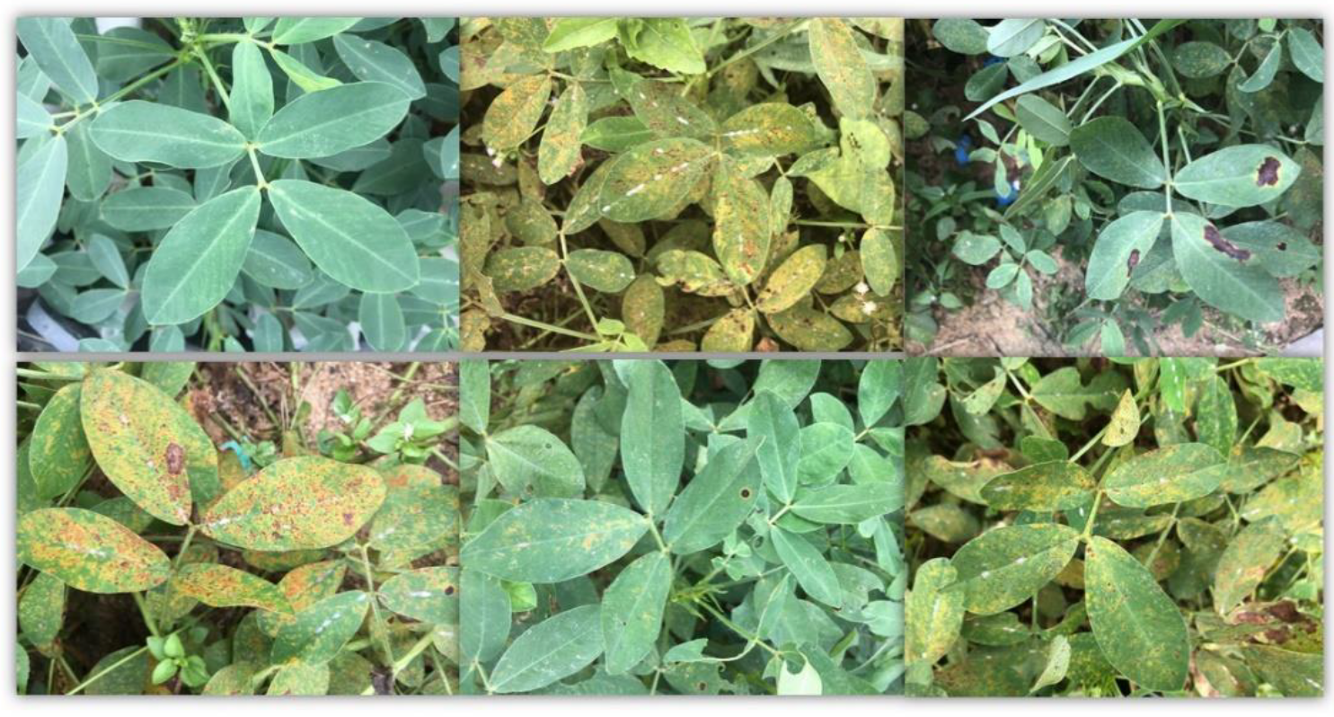 Applsci 11 01950 g001