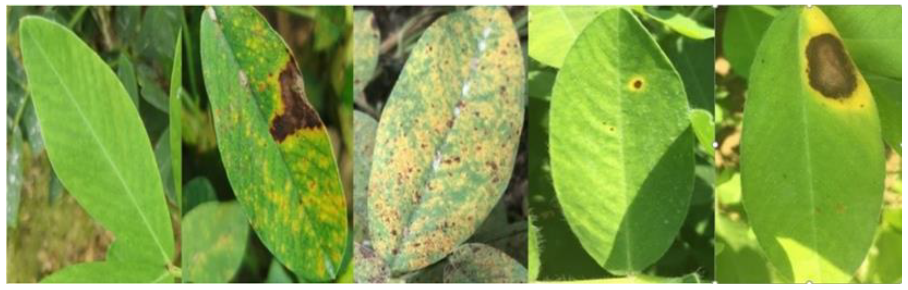 Applsci 11 01950 g002