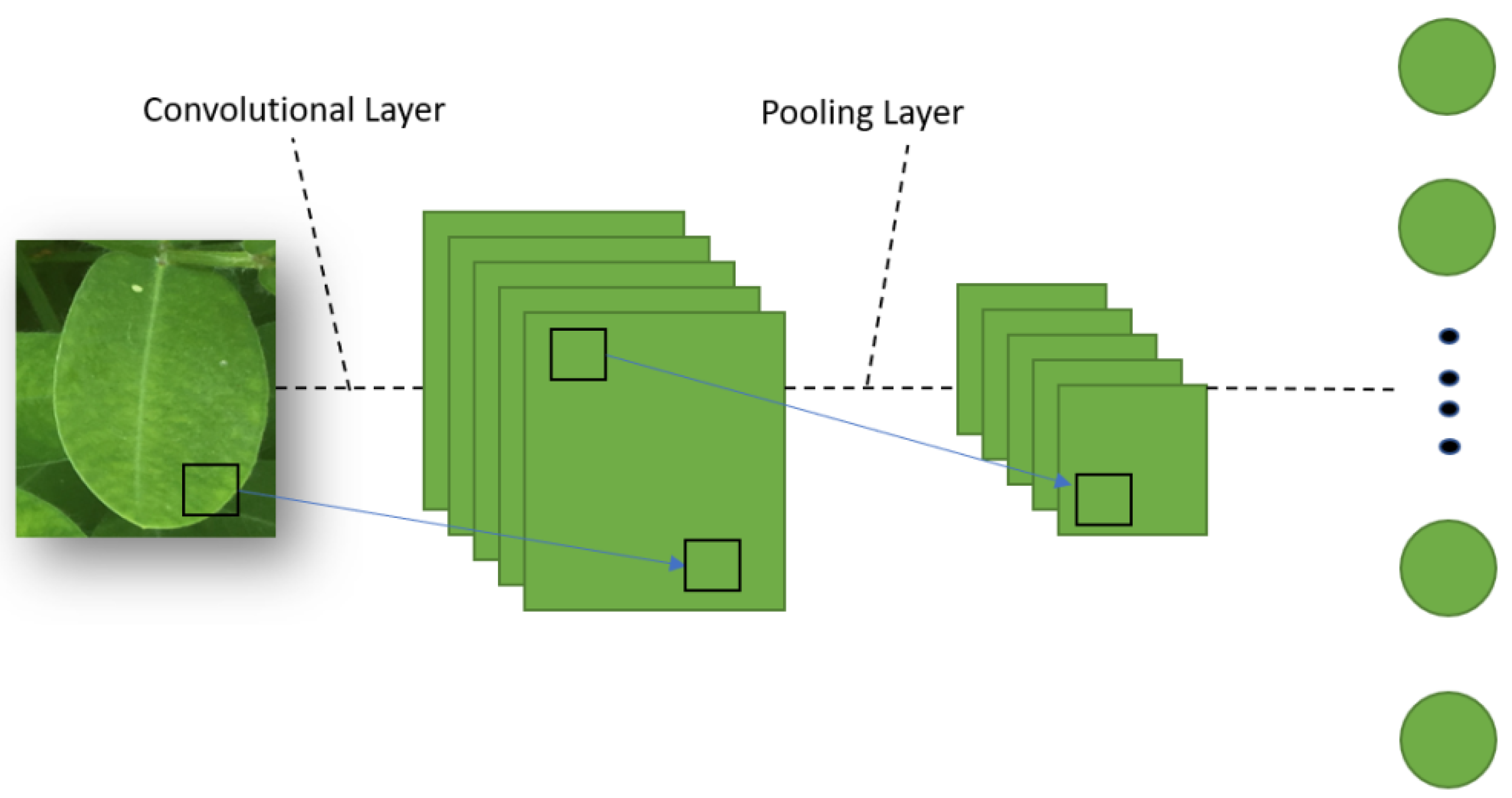 Applsci 11 01950 g003
