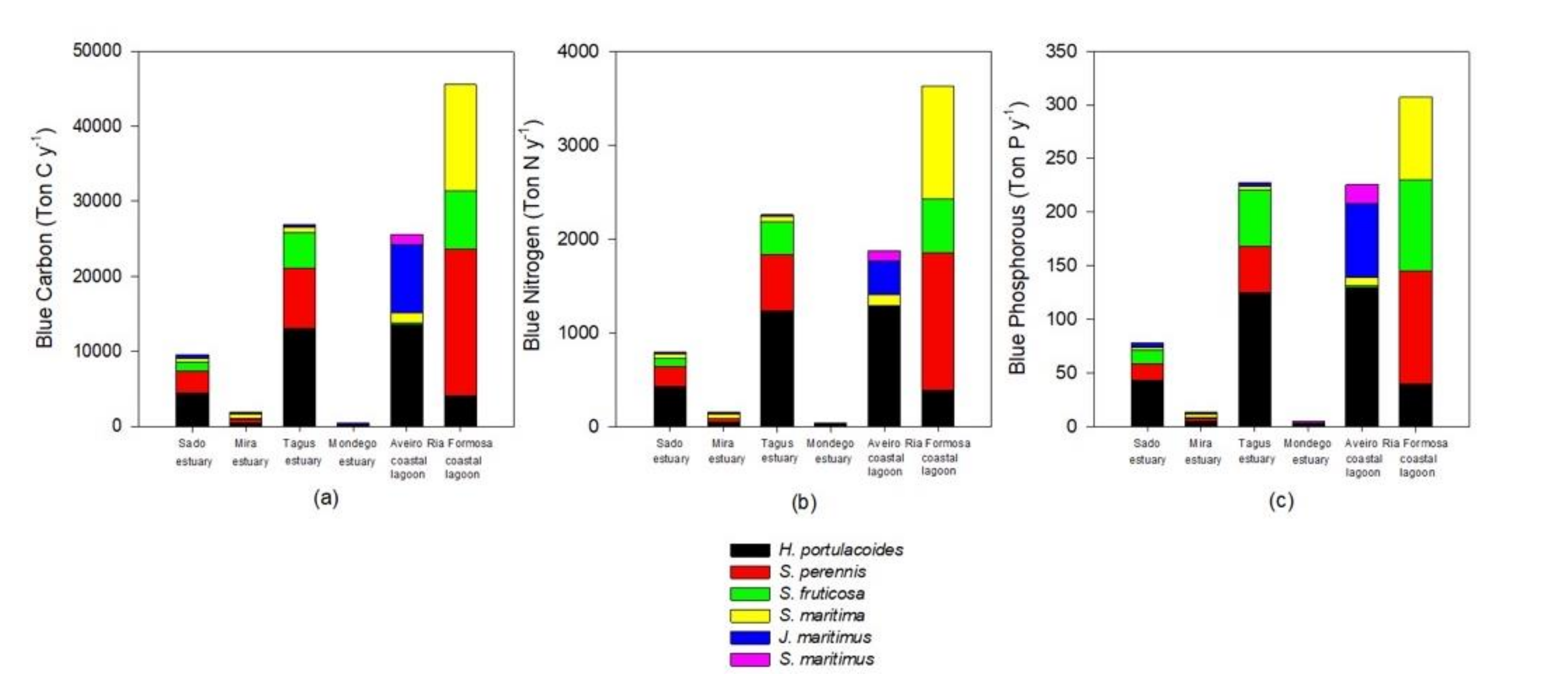 Applsci 11 01969 g005