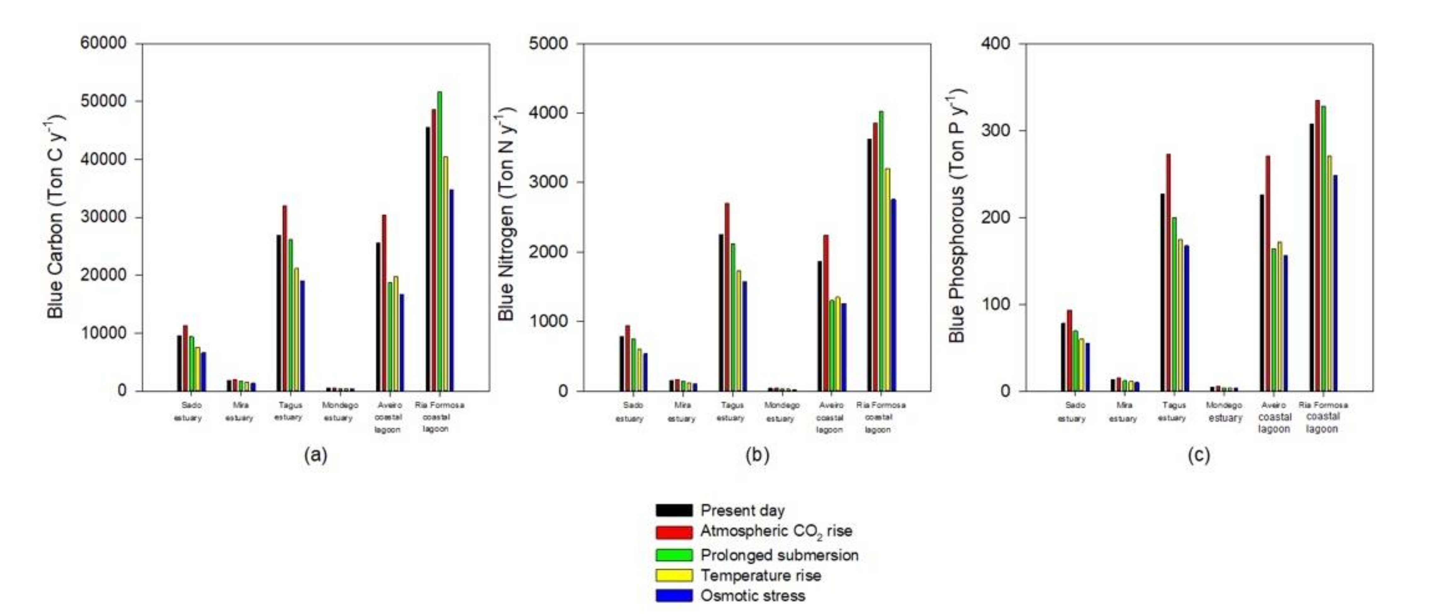 Applsci 11 01969 g007
