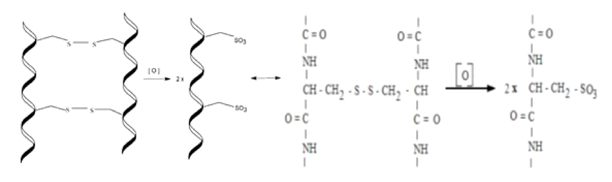 Applsci 11 01995 g003