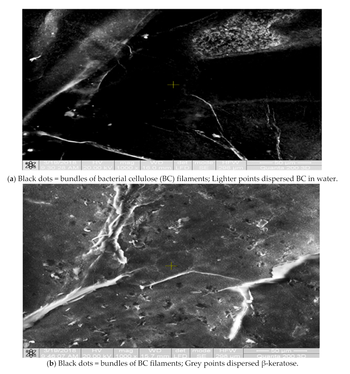 Applsci 11 01995 g005a