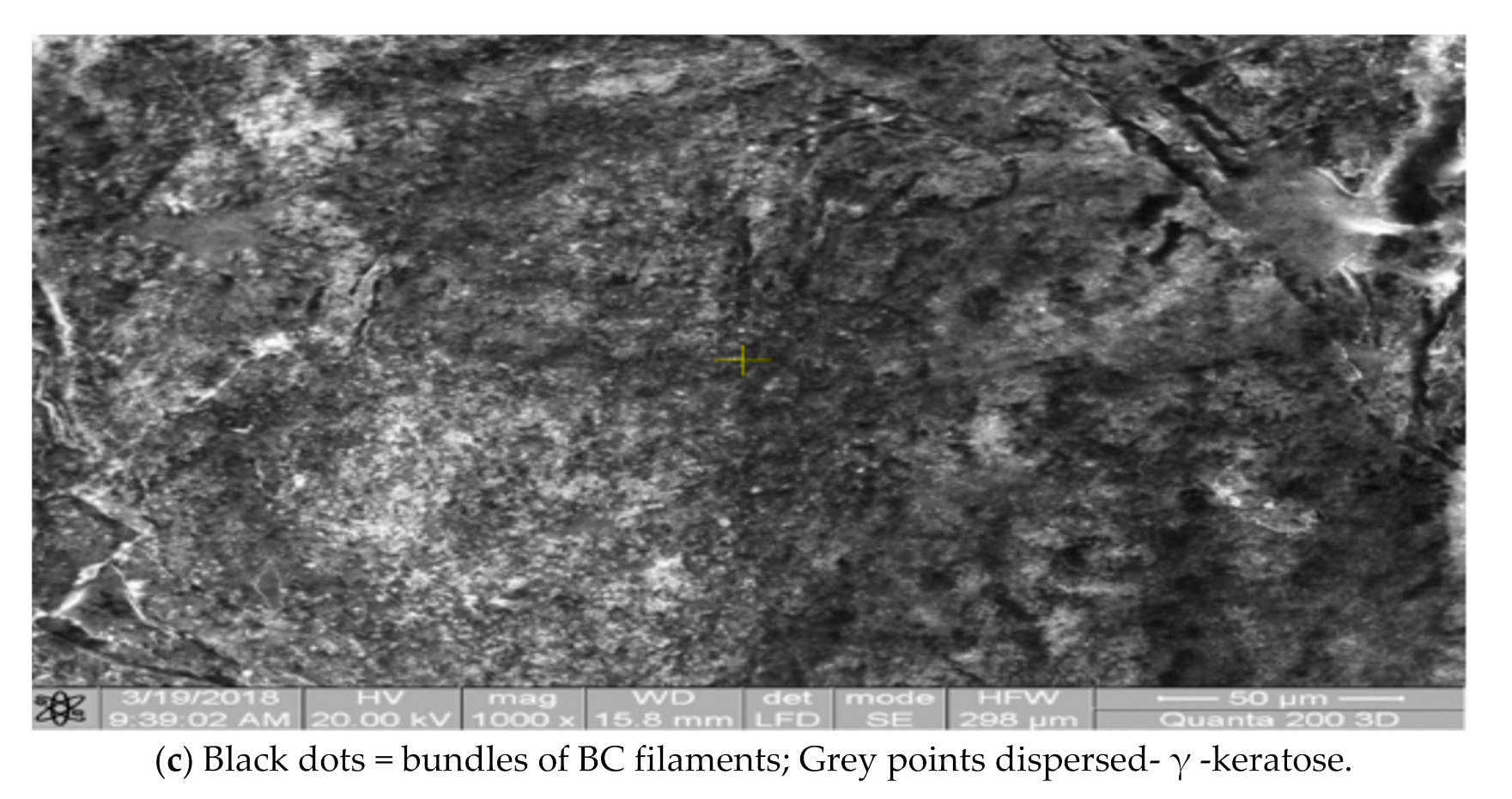 Applsci 11 01995 g005b