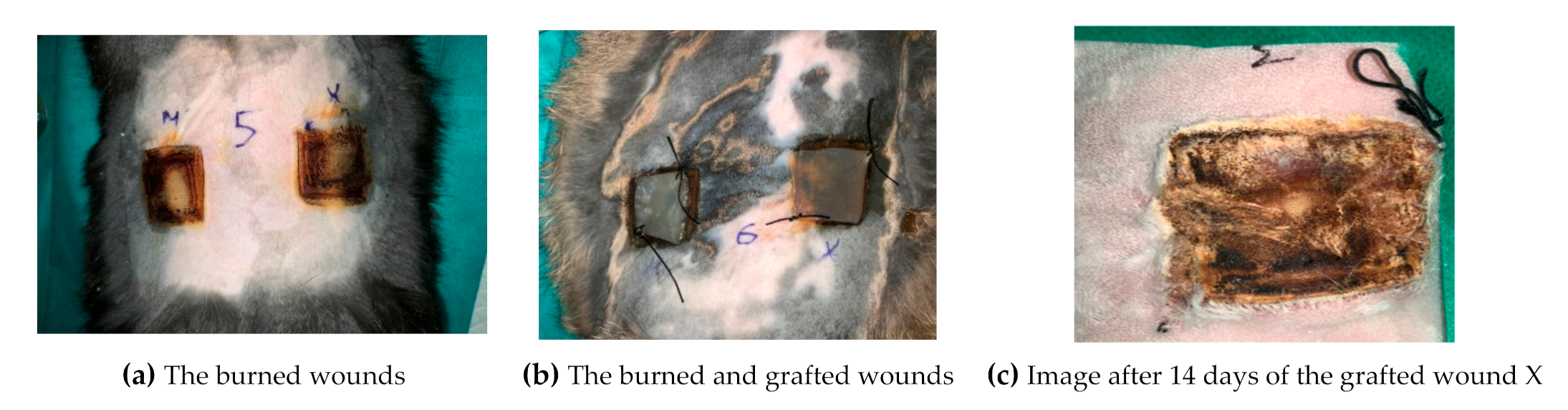 Applsci 11 01995 g008