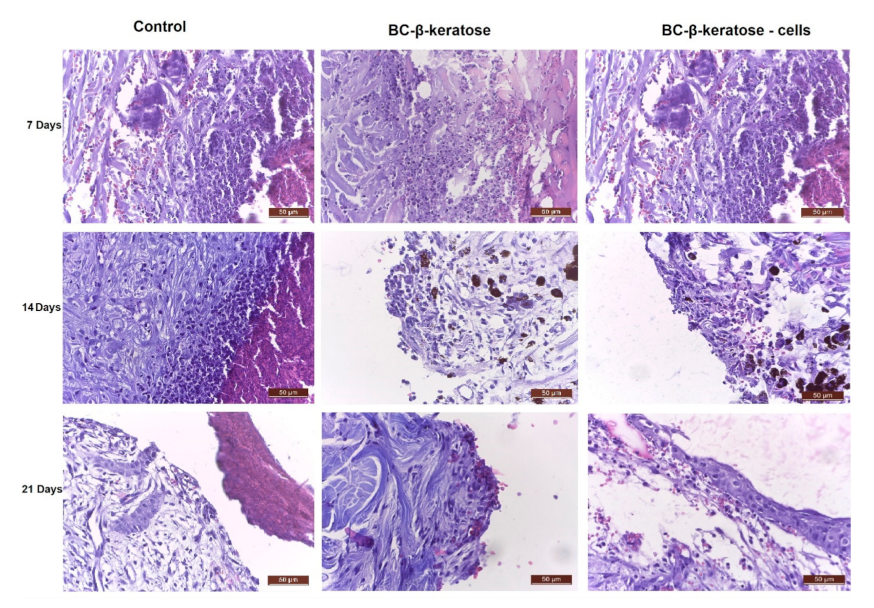 Applsci 11 01995 g009