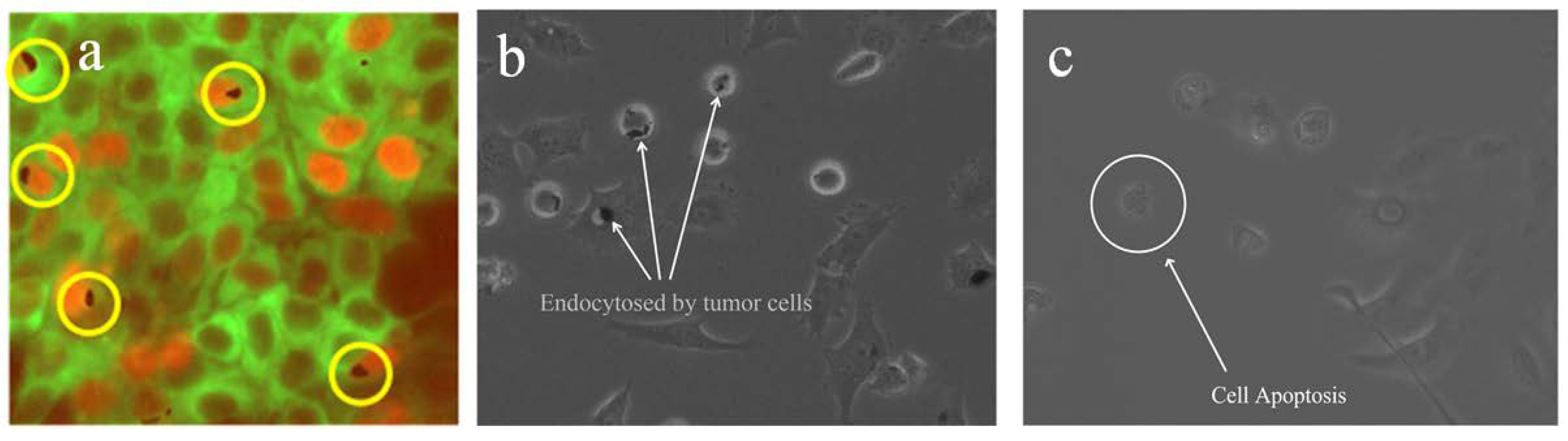 Applsci 11 02003 g008