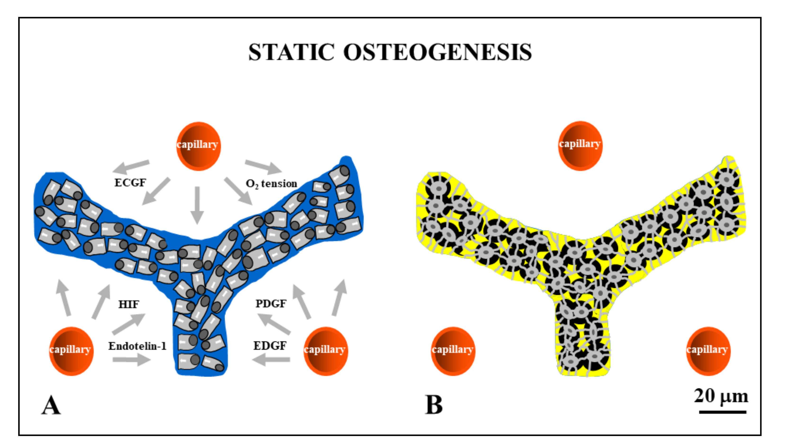 Applsci 11 02025 g003