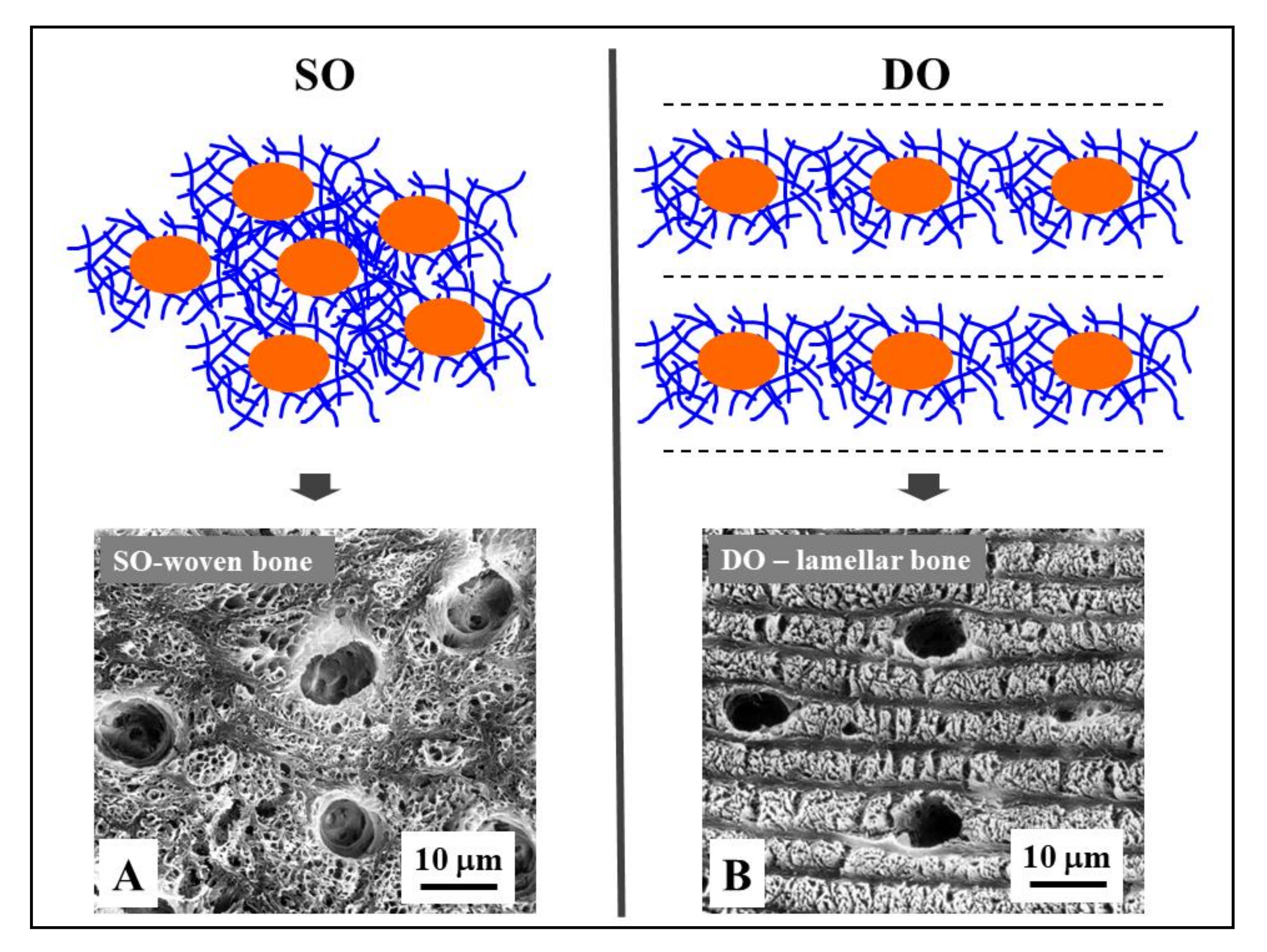 Applsci 11 02025 g005