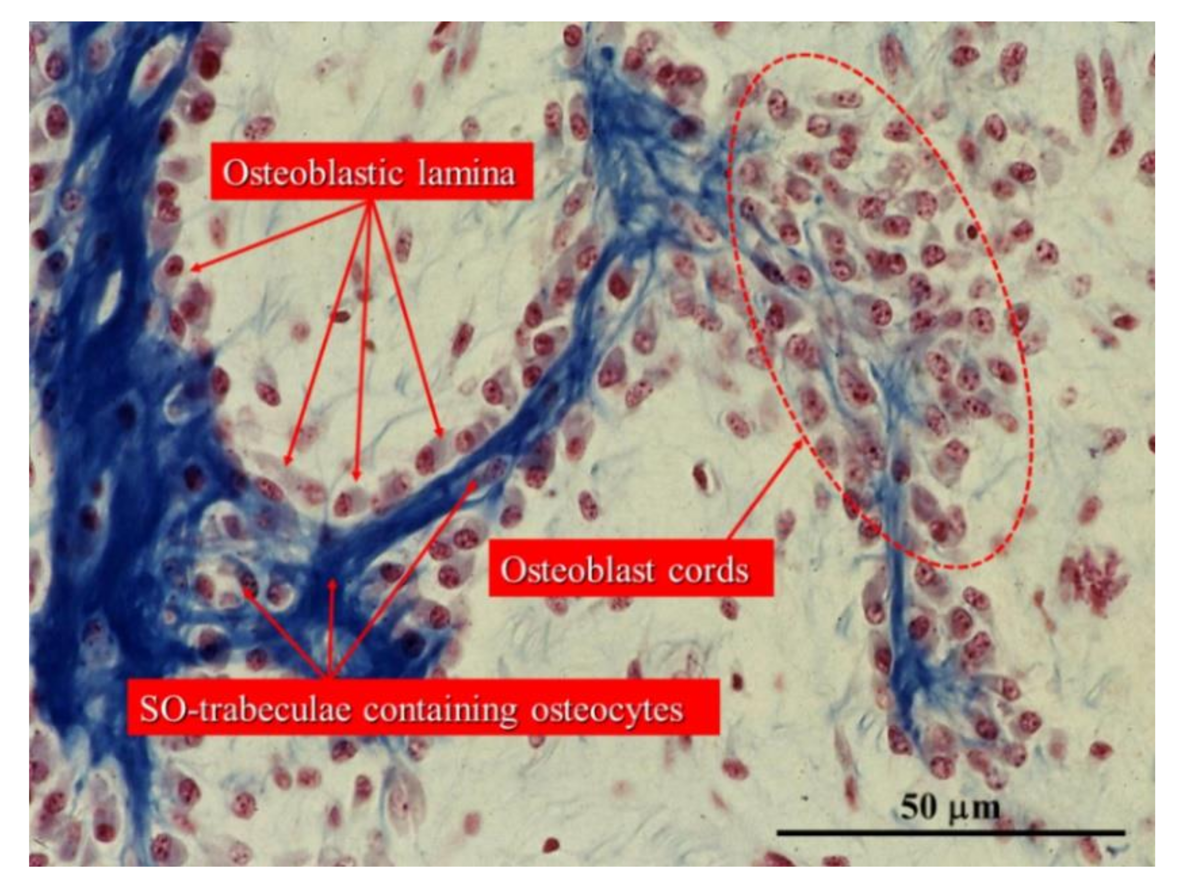 Applsci 11 02025 g006