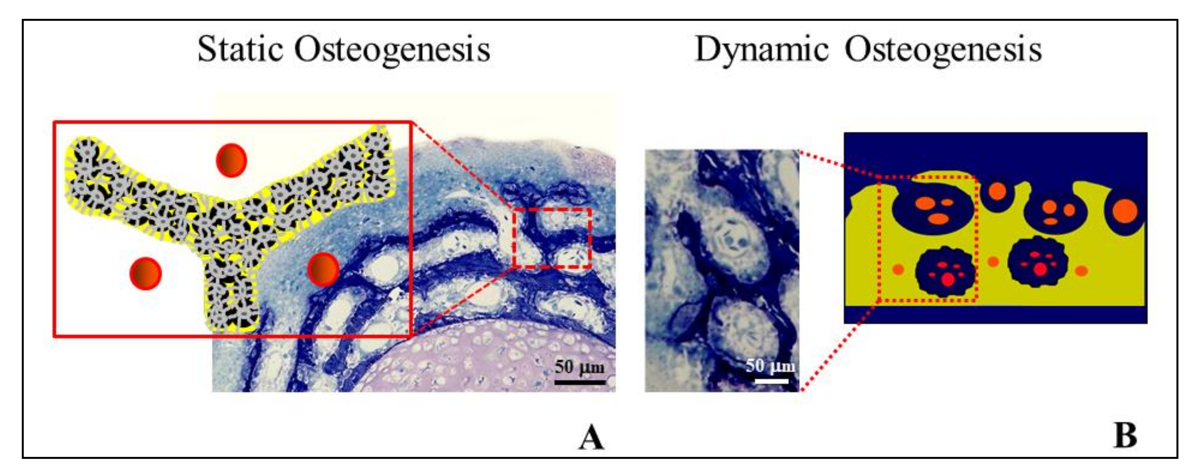 Applsci 11 02025 g009
