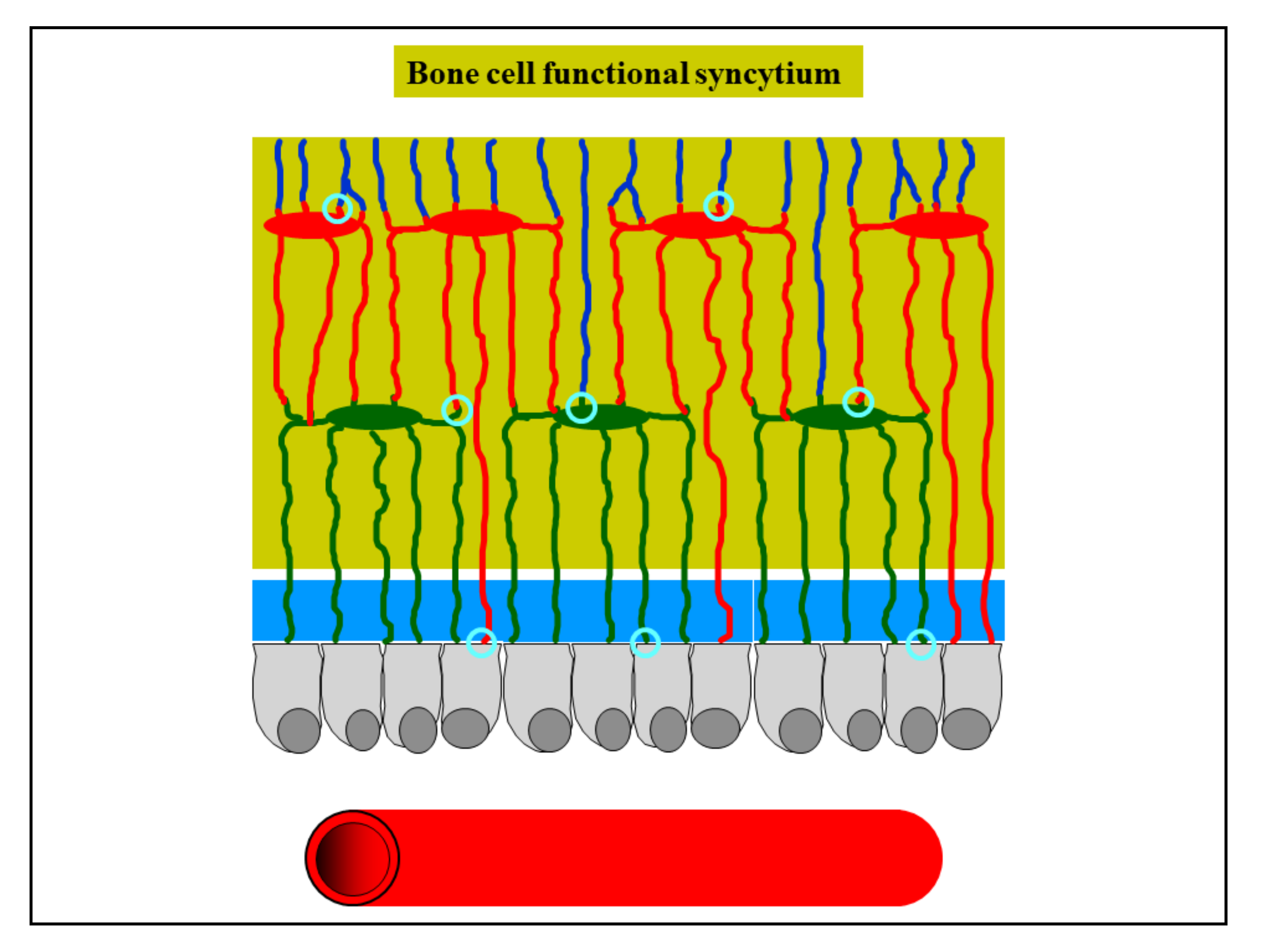 Applsci 11 02025 g010