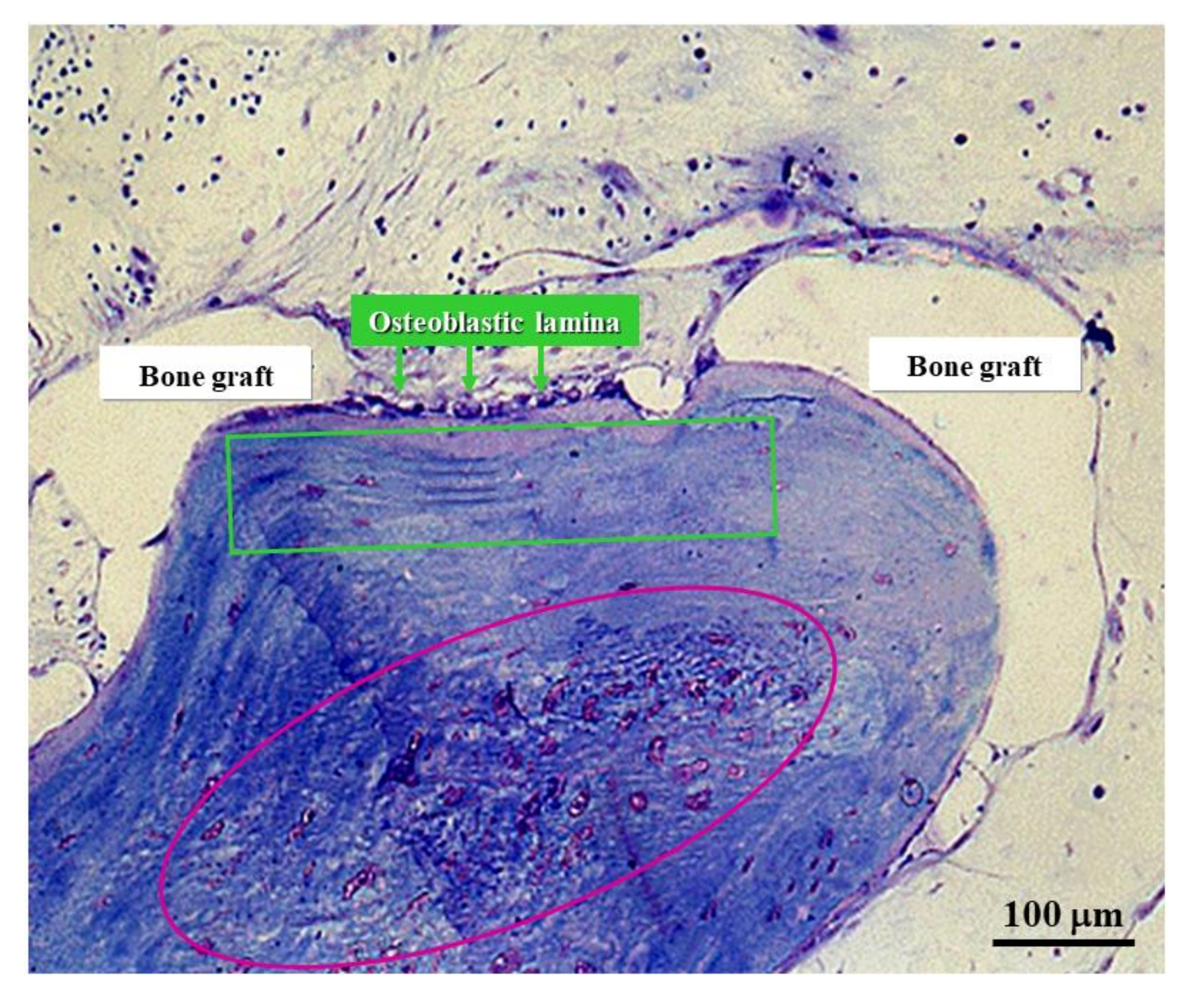 Applsci 11 02025 g012