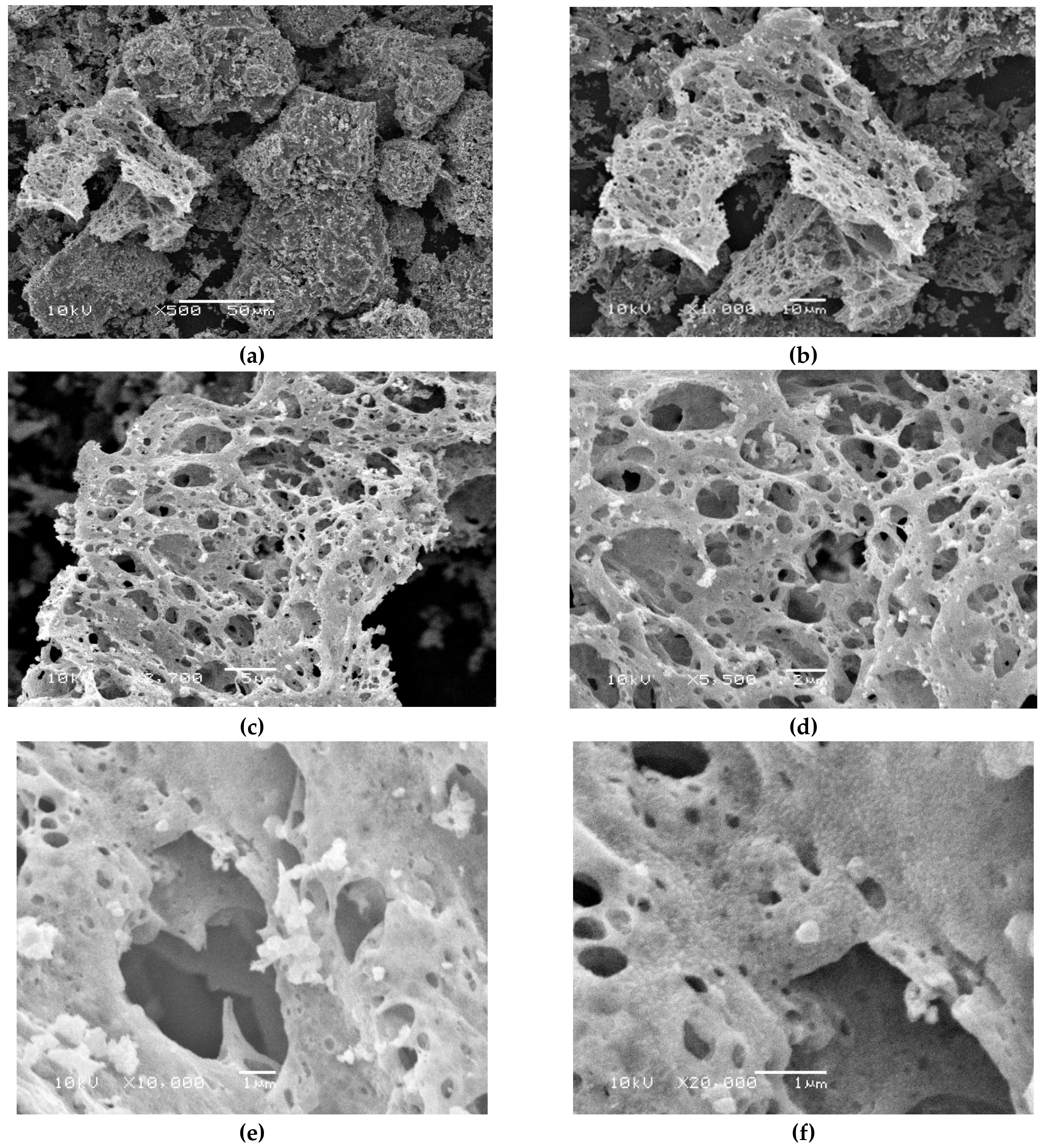 Applsci 11 02034 g005 Applsci 11 02034 g005