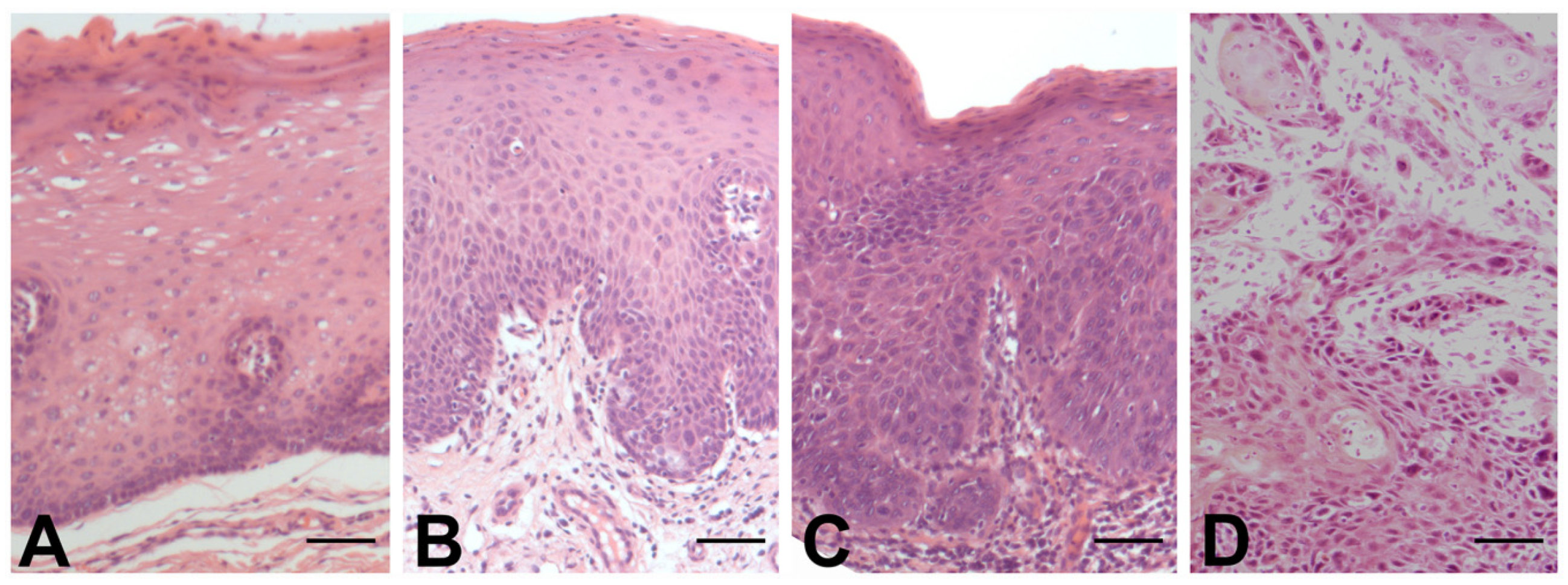 Applsci 11 02048 g002