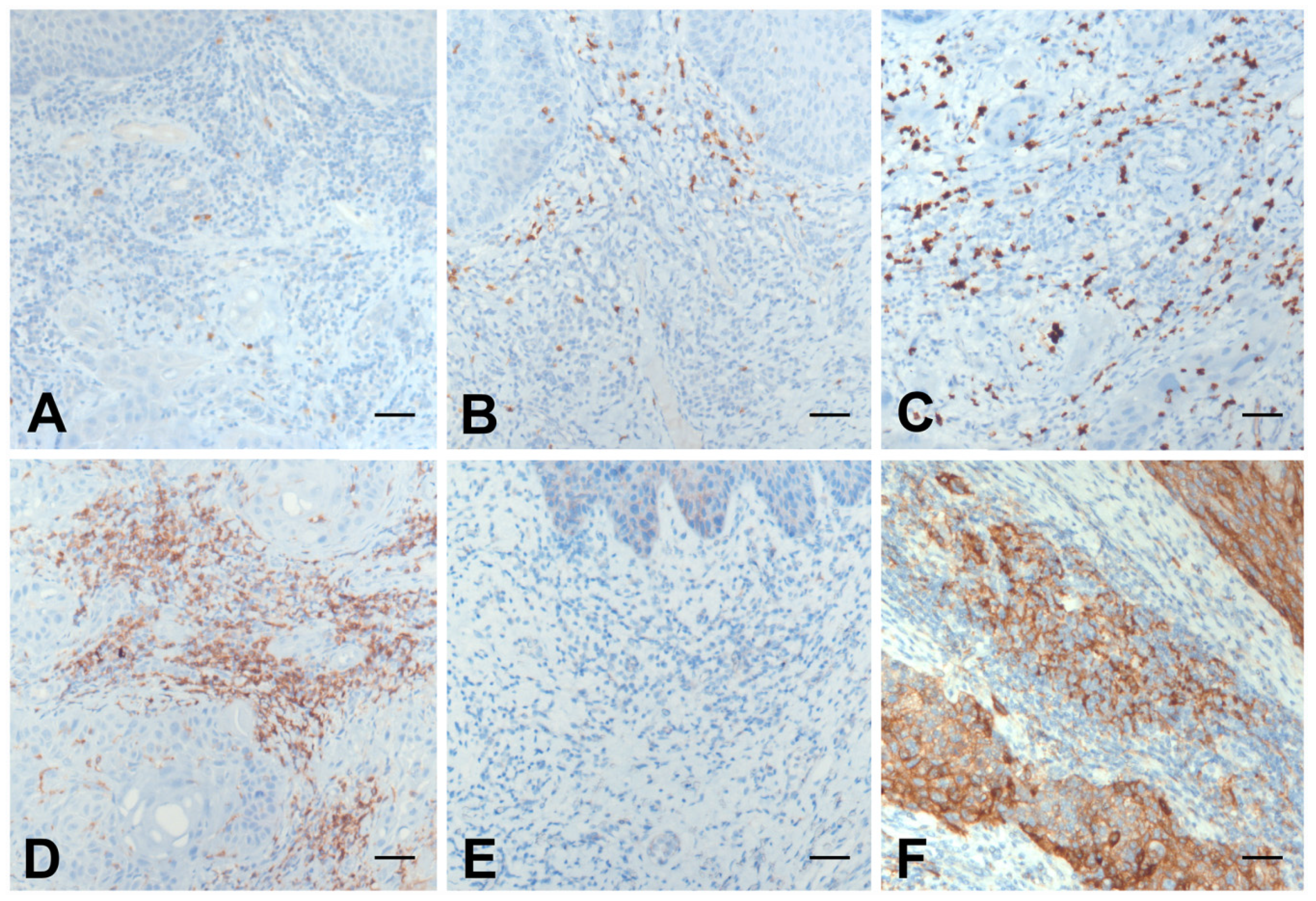 Applsci 11 02048 g003