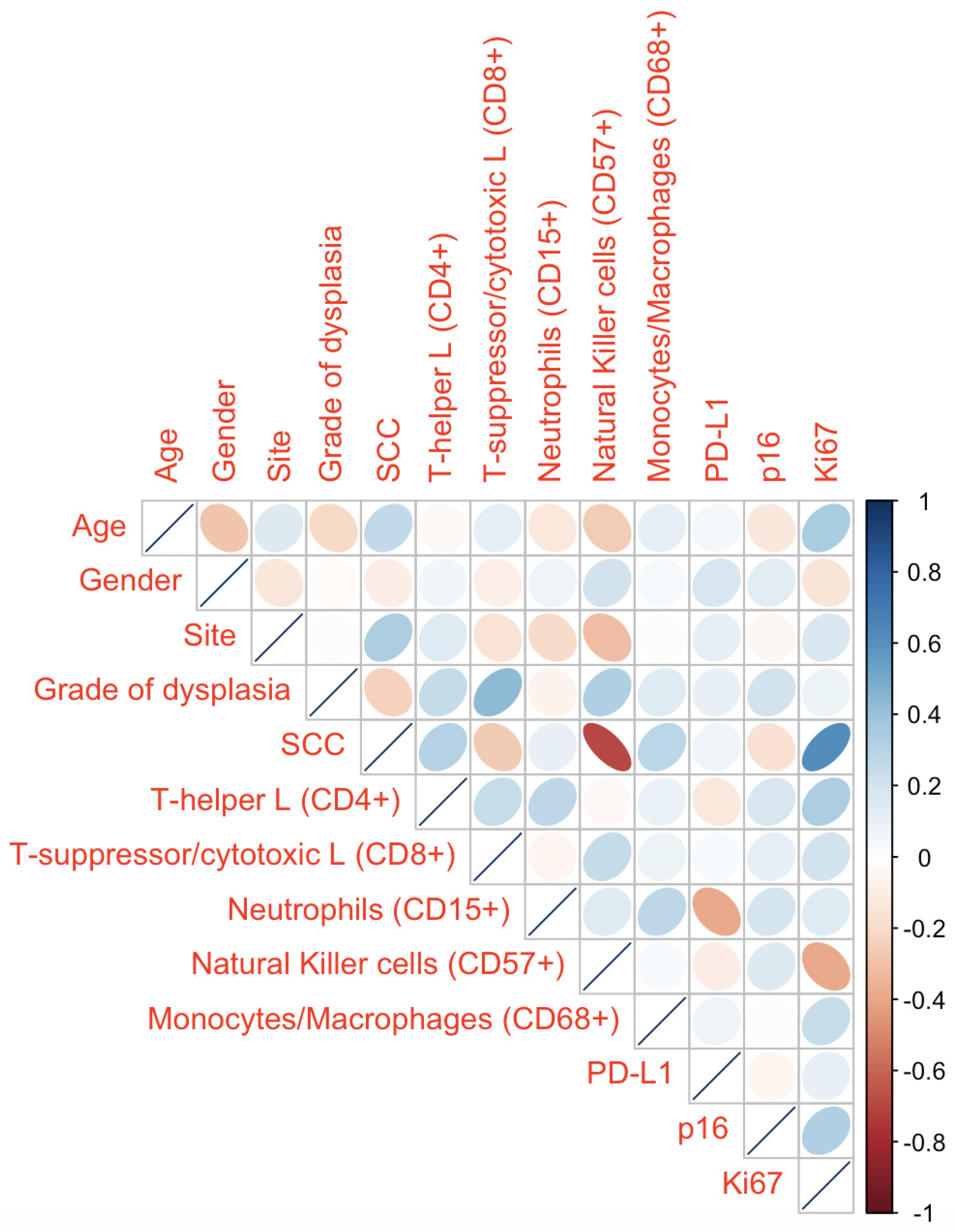 Applsci 11 02048 g007