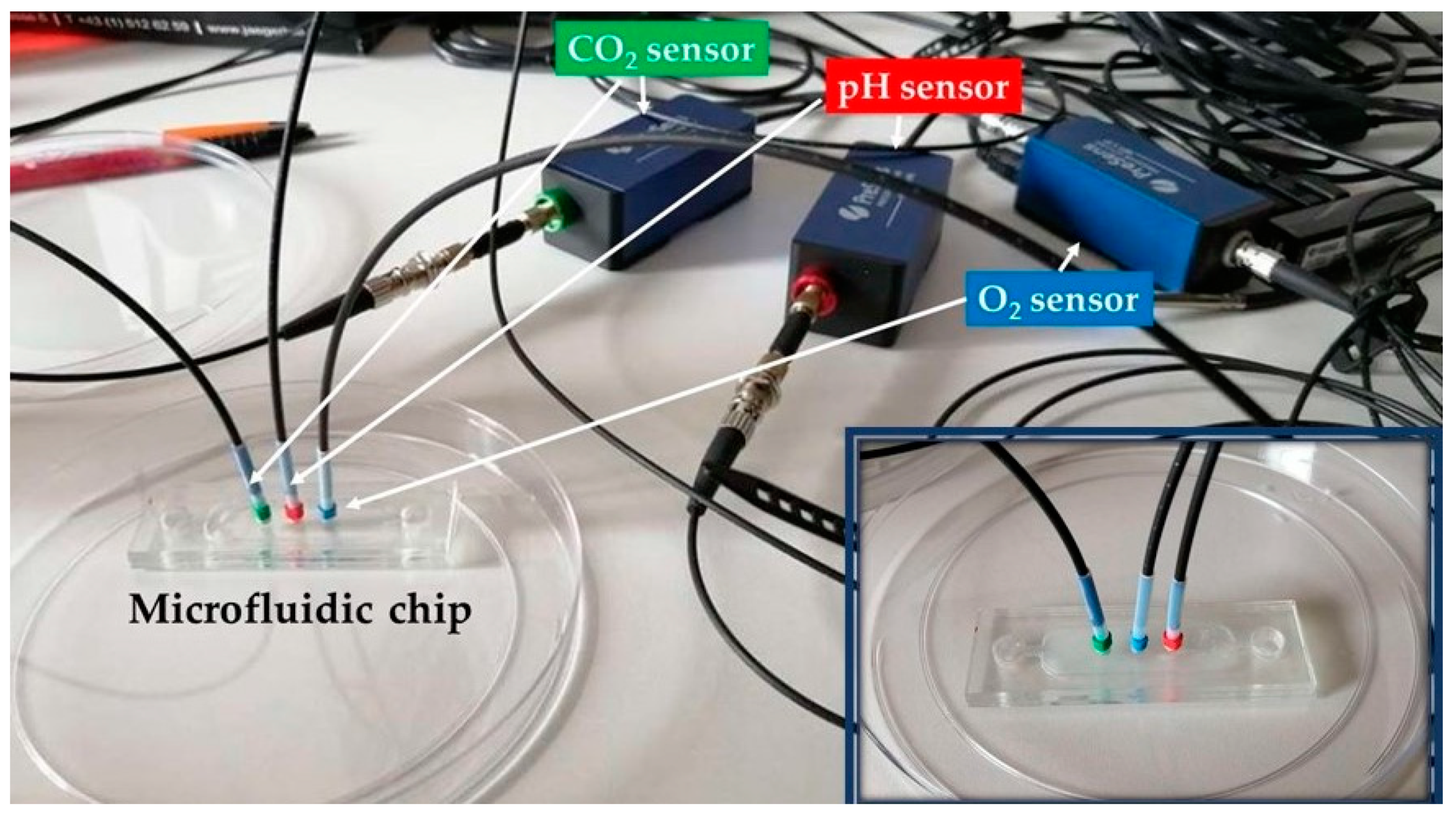 Applsci 11 02049 g002 Applsci 11 02049 g002