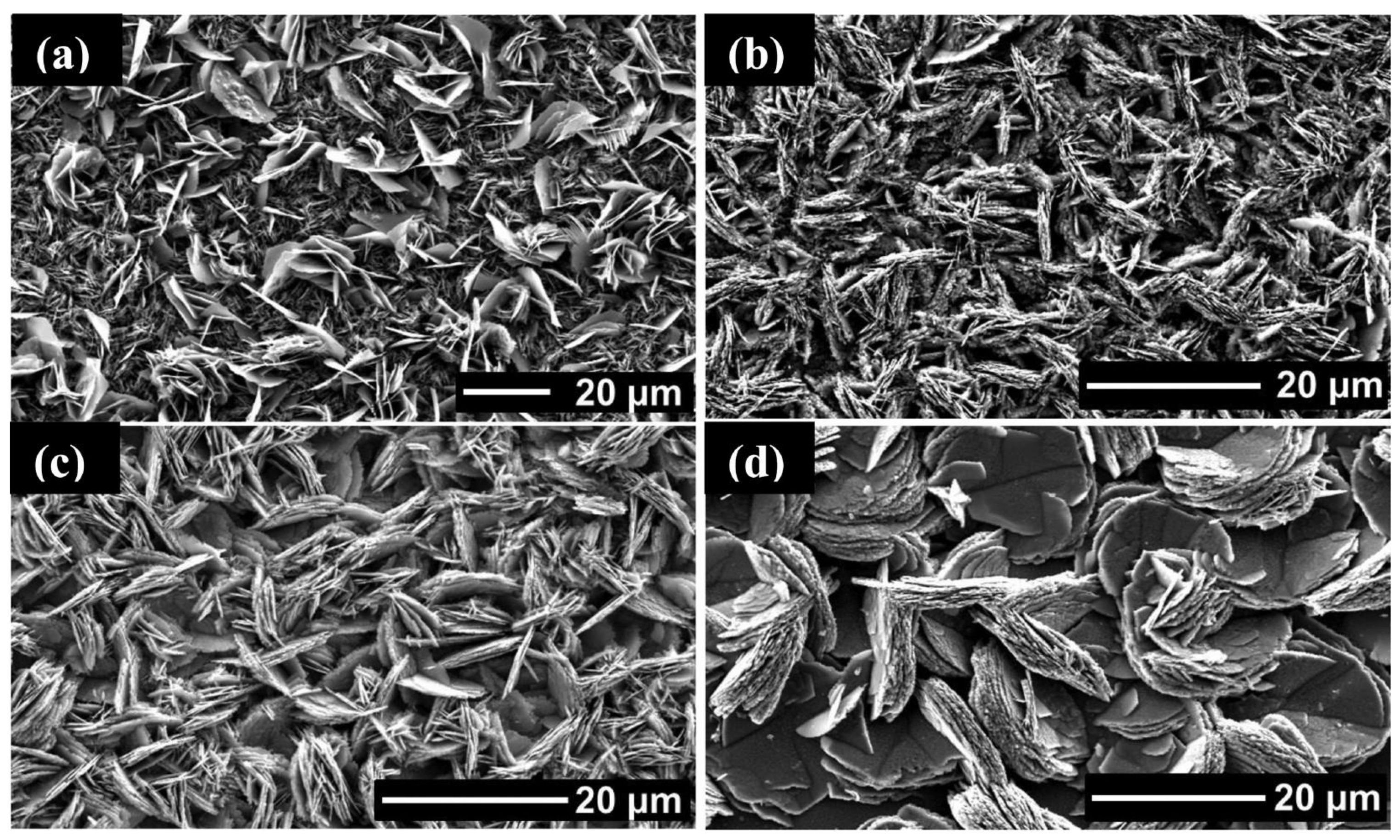 Applsci 11 02062 g002