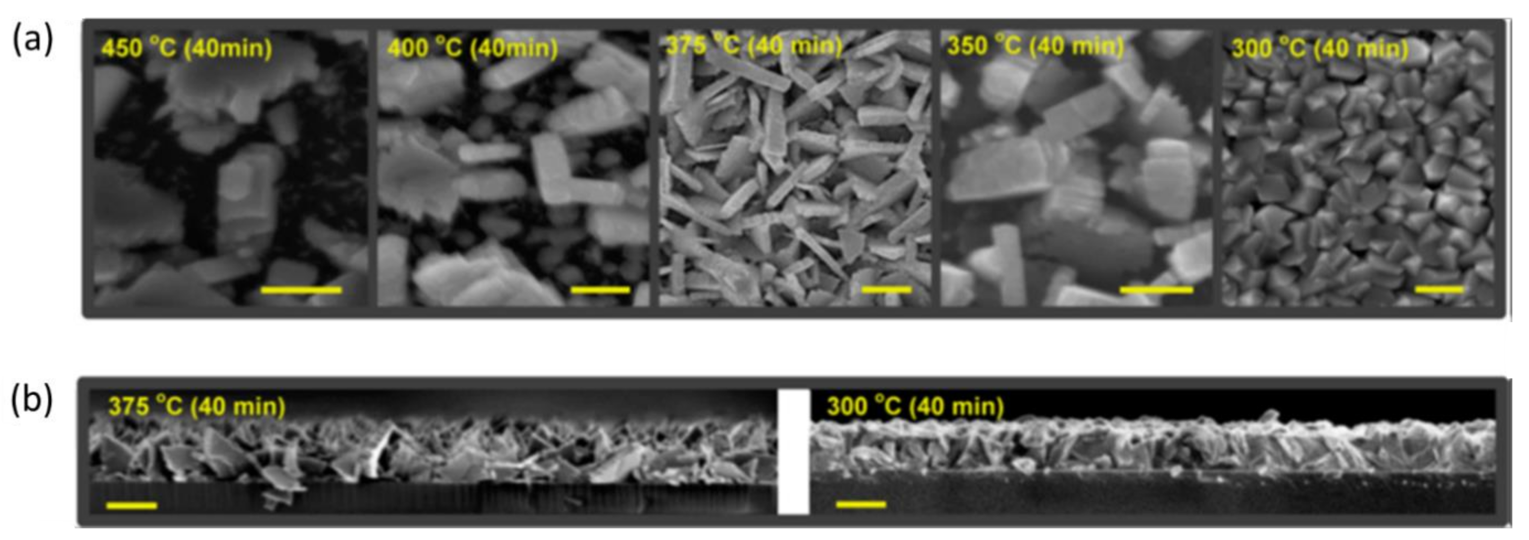 Applsci 11 02062 g003