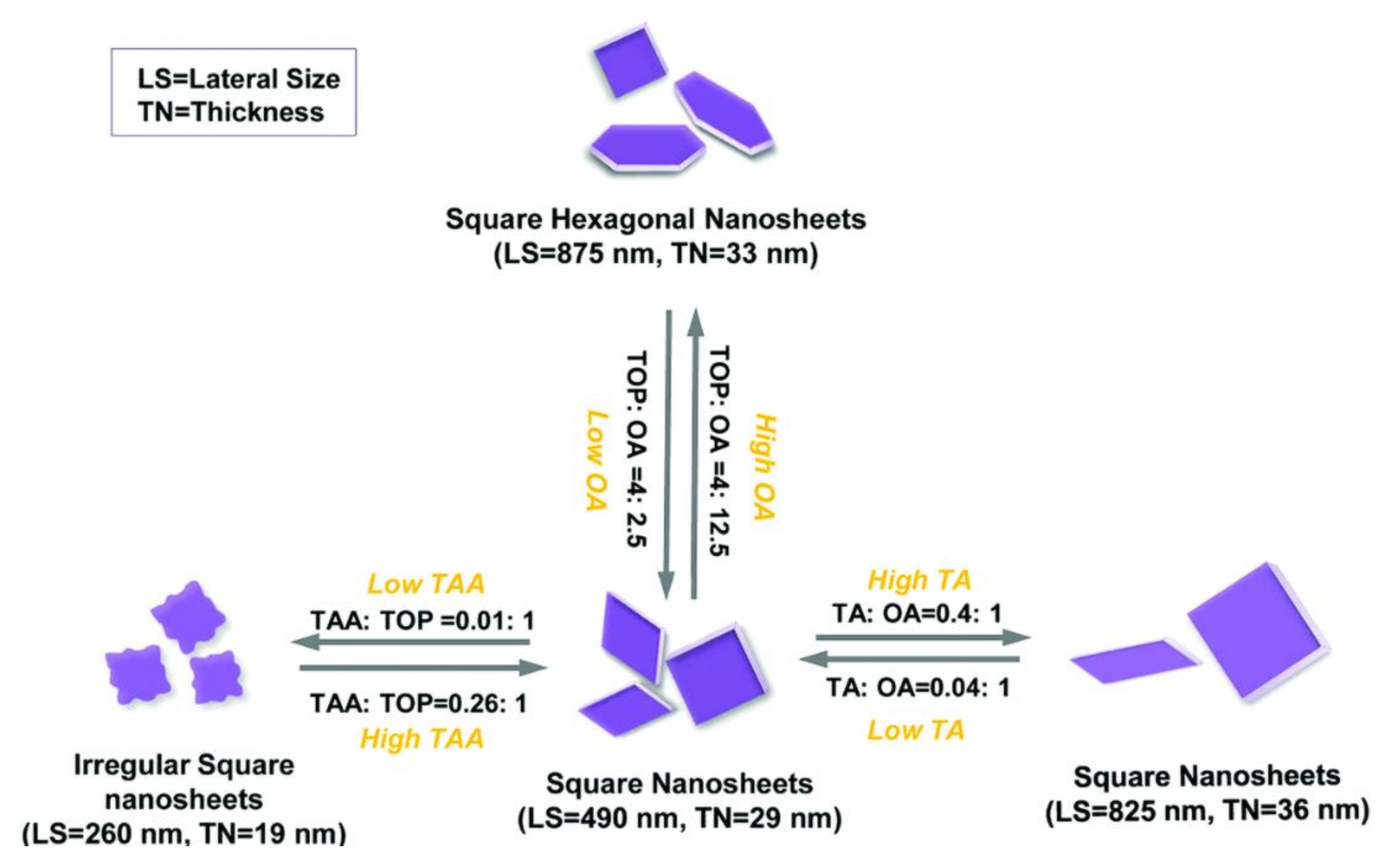 Applsci 11 02062 g012