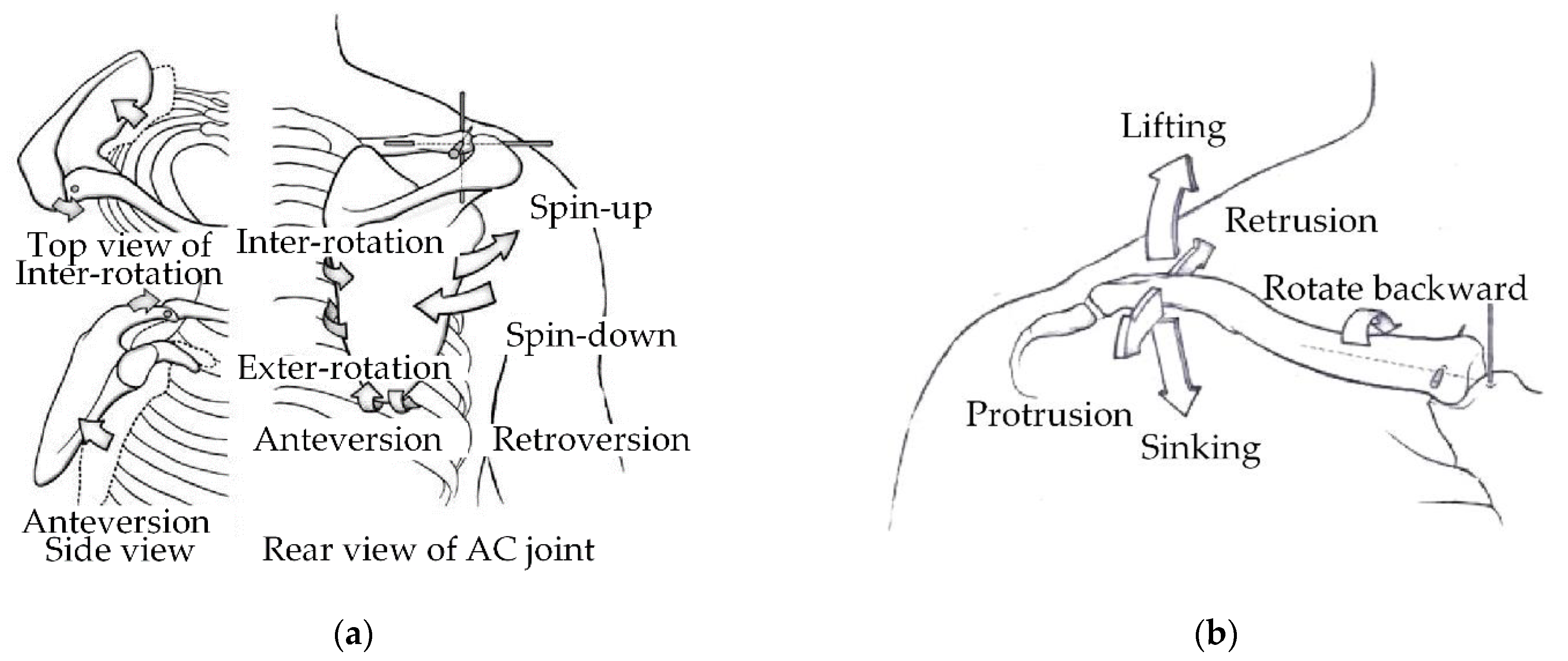 Applsci 11 02080 g002a