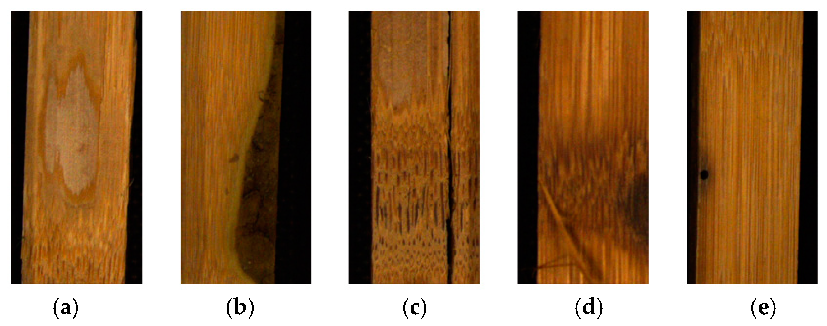 Applsci 11 02092 g006 Applsci 11 02092 g006