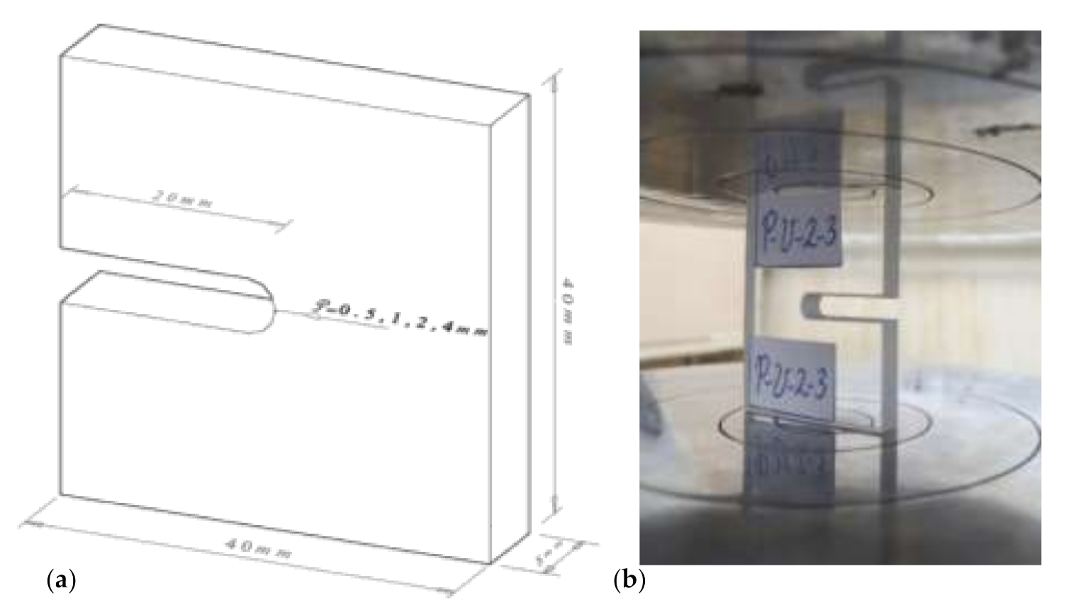 Applsci 11 02104 g001 Applsci 11 02104 g001