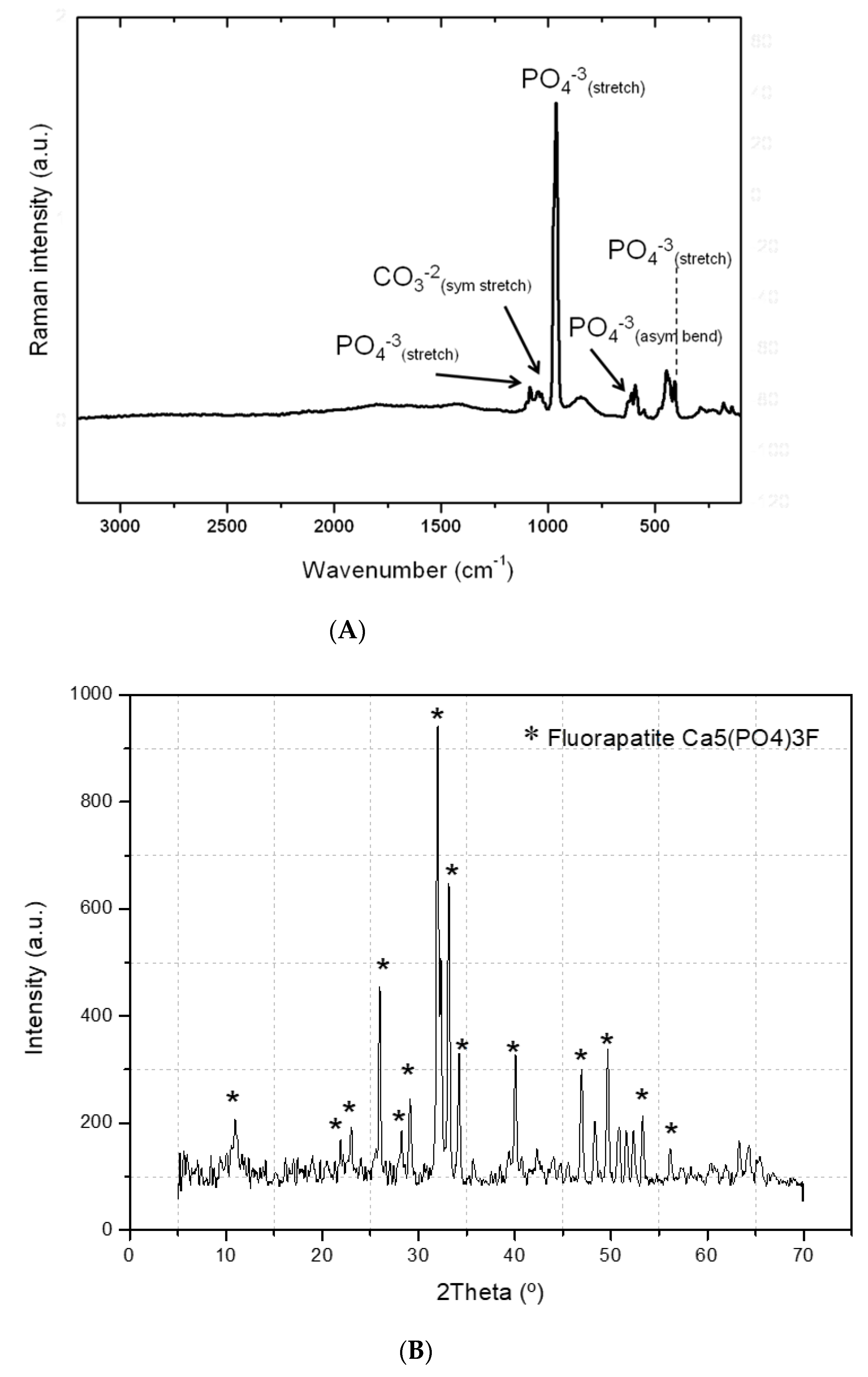 Applsci 11 02116 g001