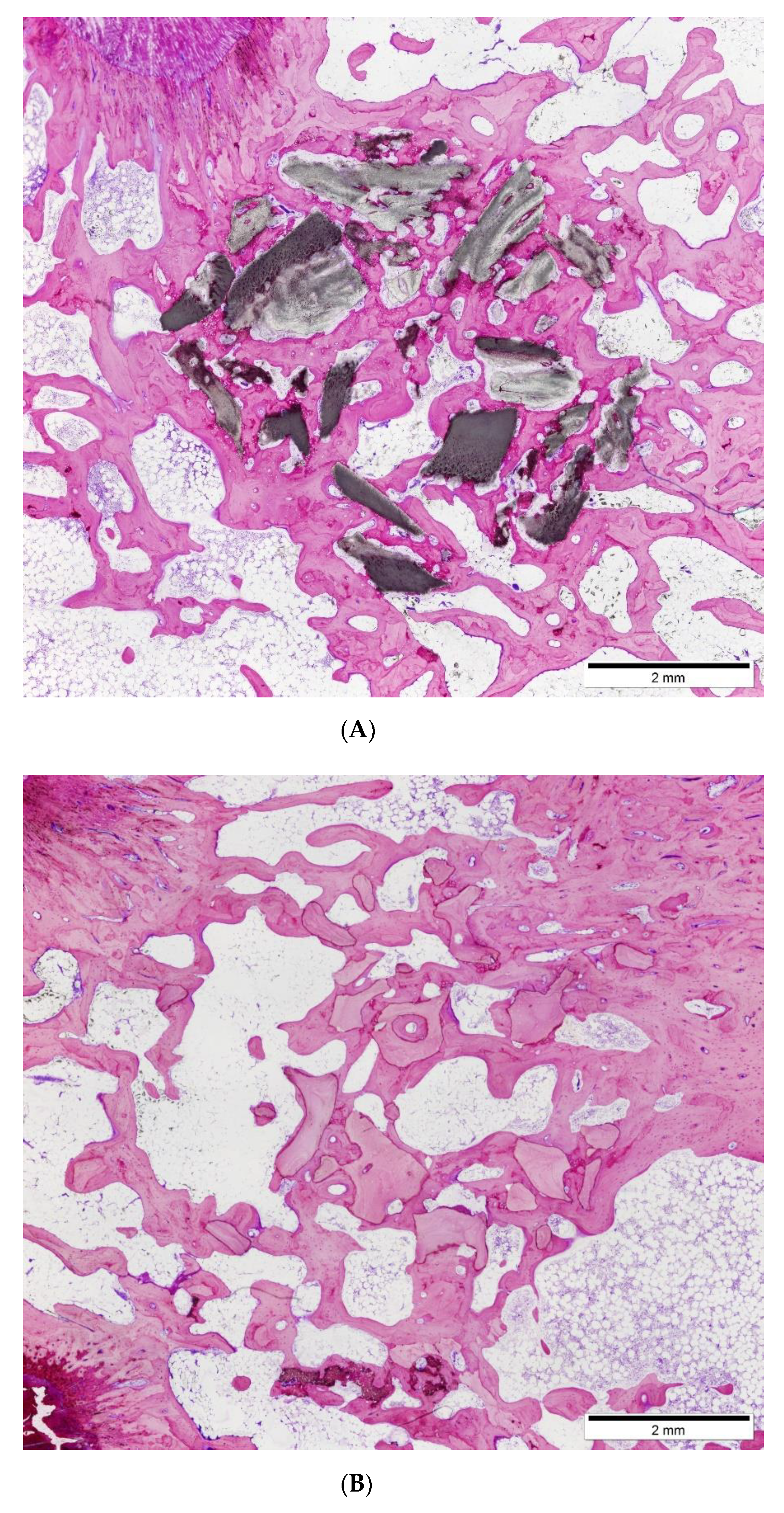 Applsci 11 02116 g002a