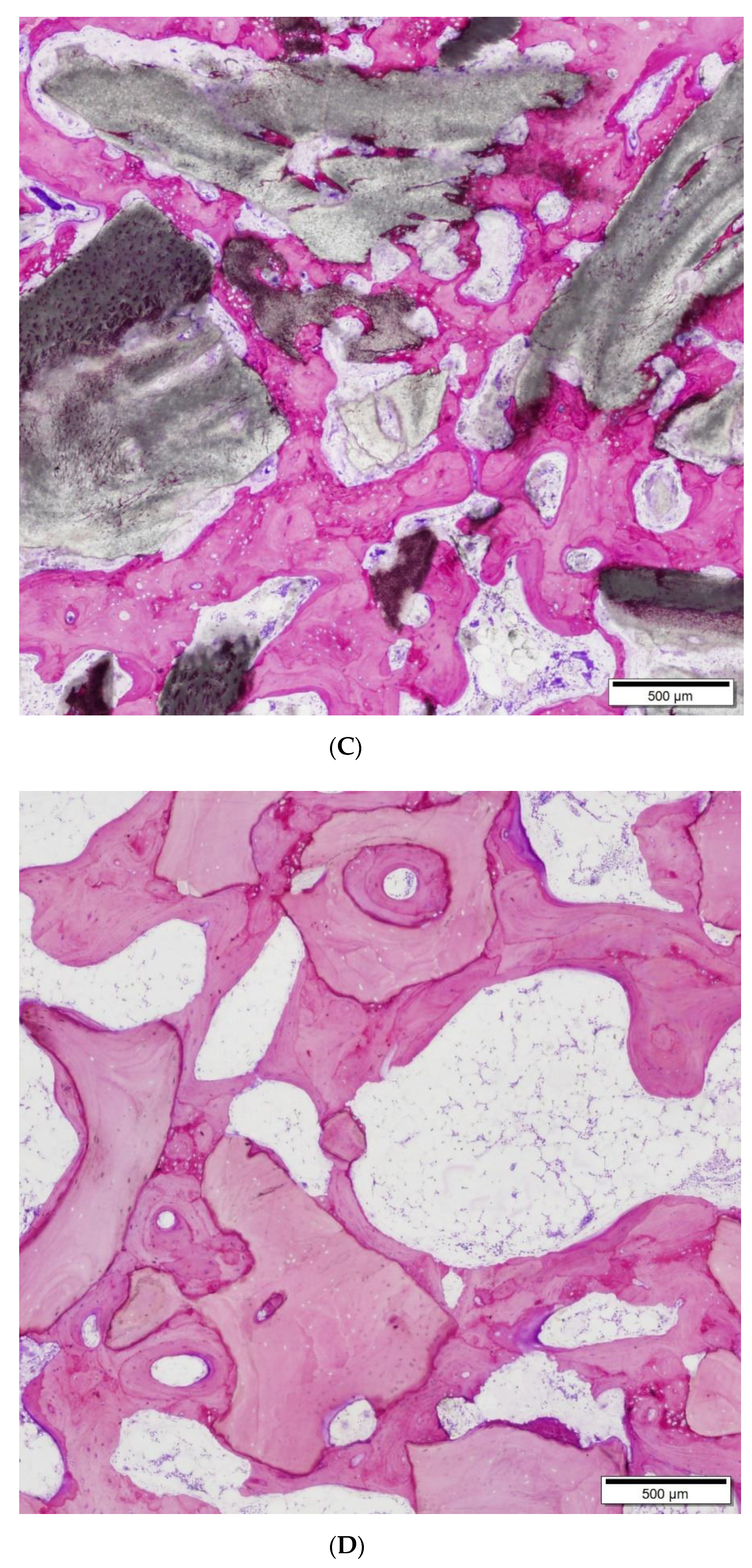 Applsci 11 02116 g002b