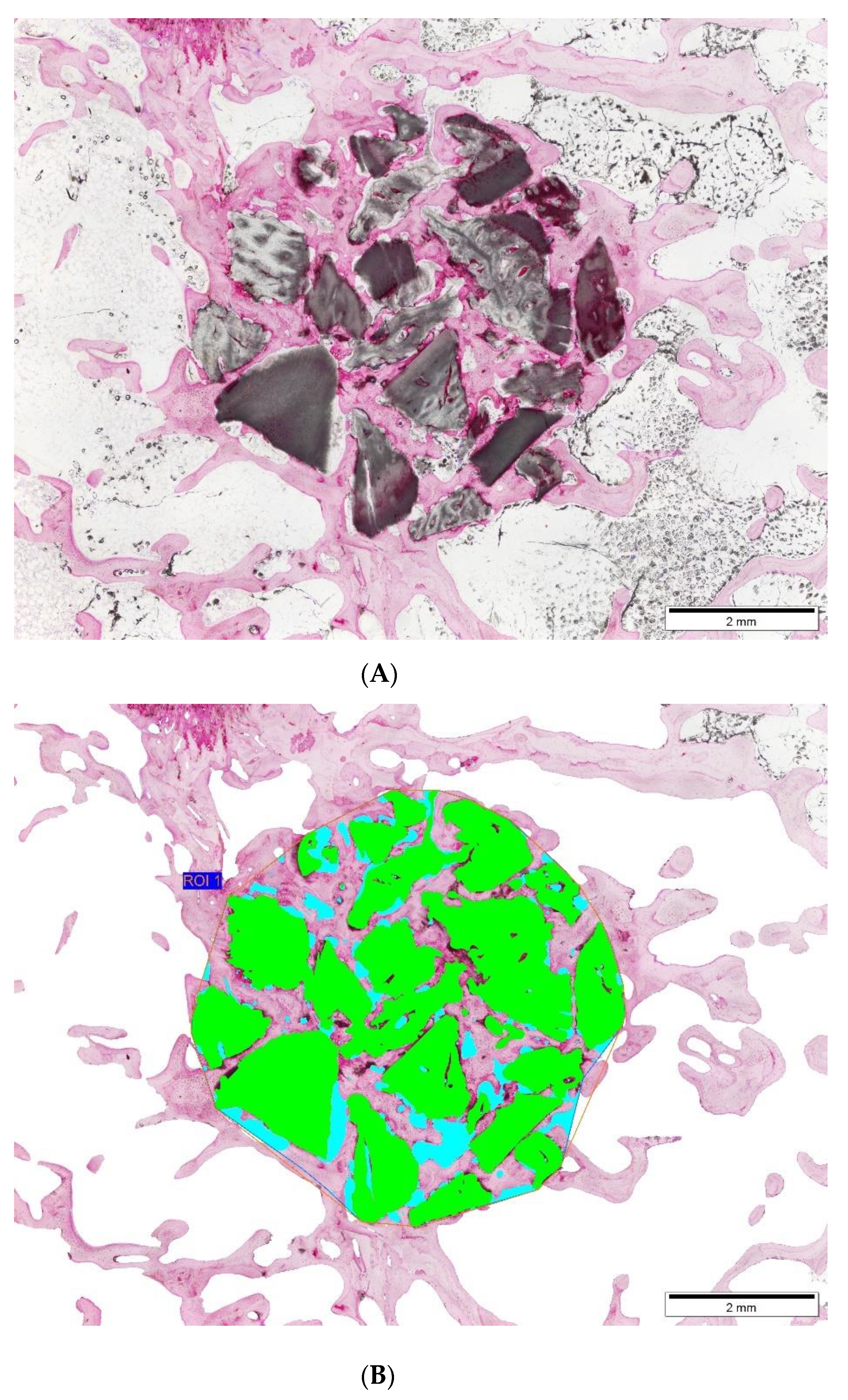 Applsci 11 02116 g003