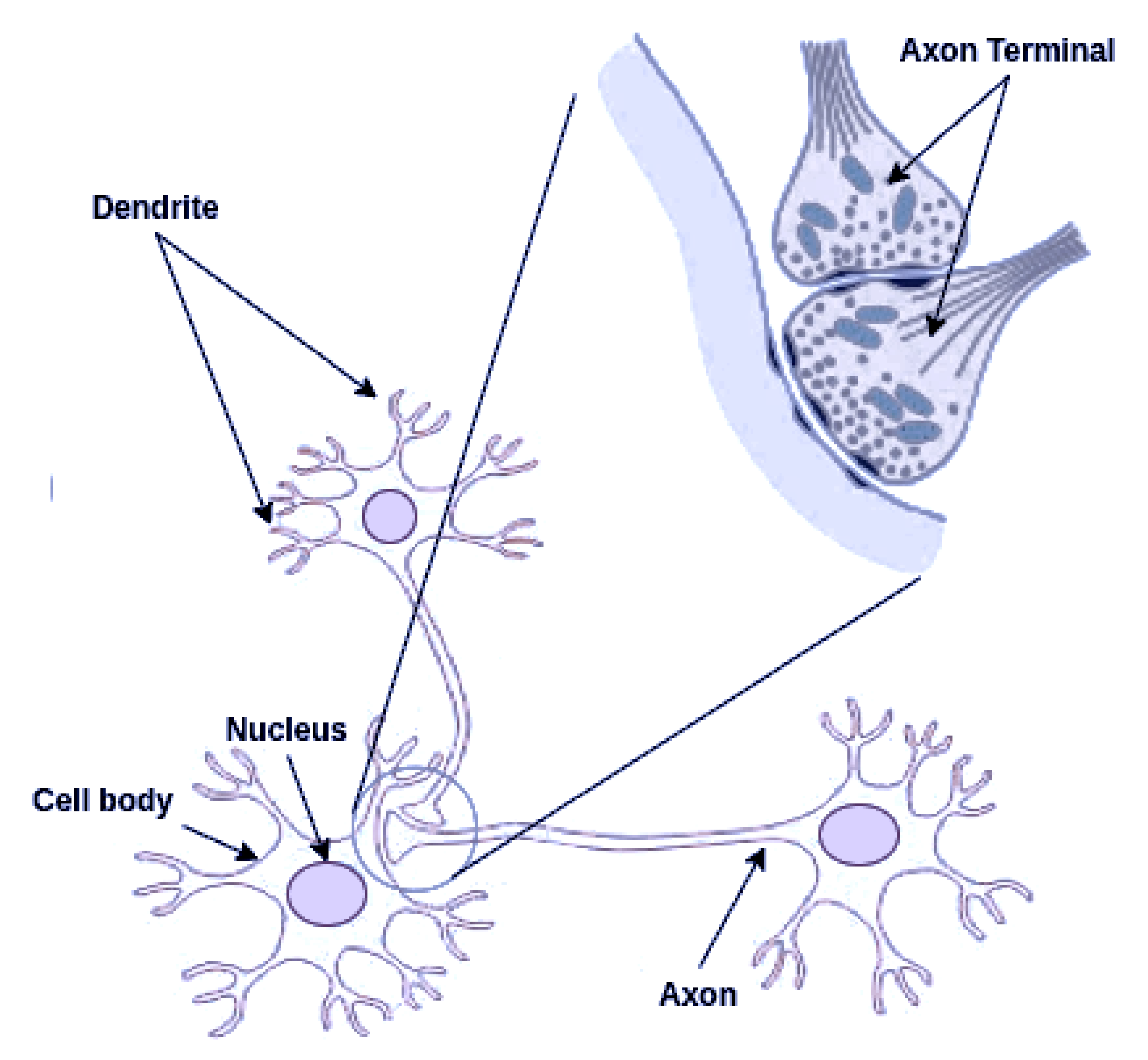 Applsci 11 02134 g002 Applsci 11 02134 g002