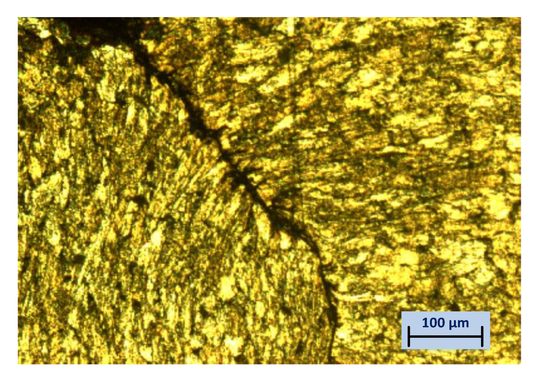 Applsci 11 02142 g010 Applsci 11 02142 g010