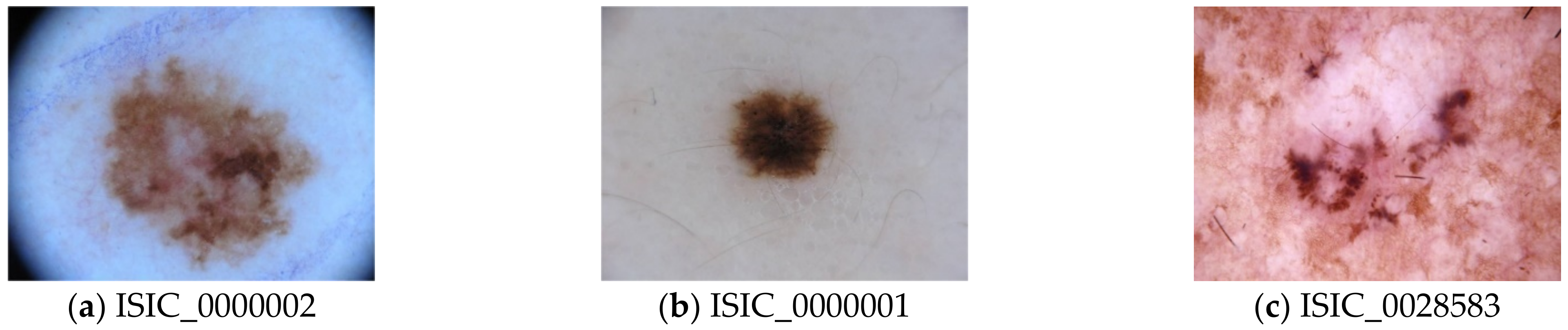 Applsci 11 02145 g007 Applsci 11 02145 g007